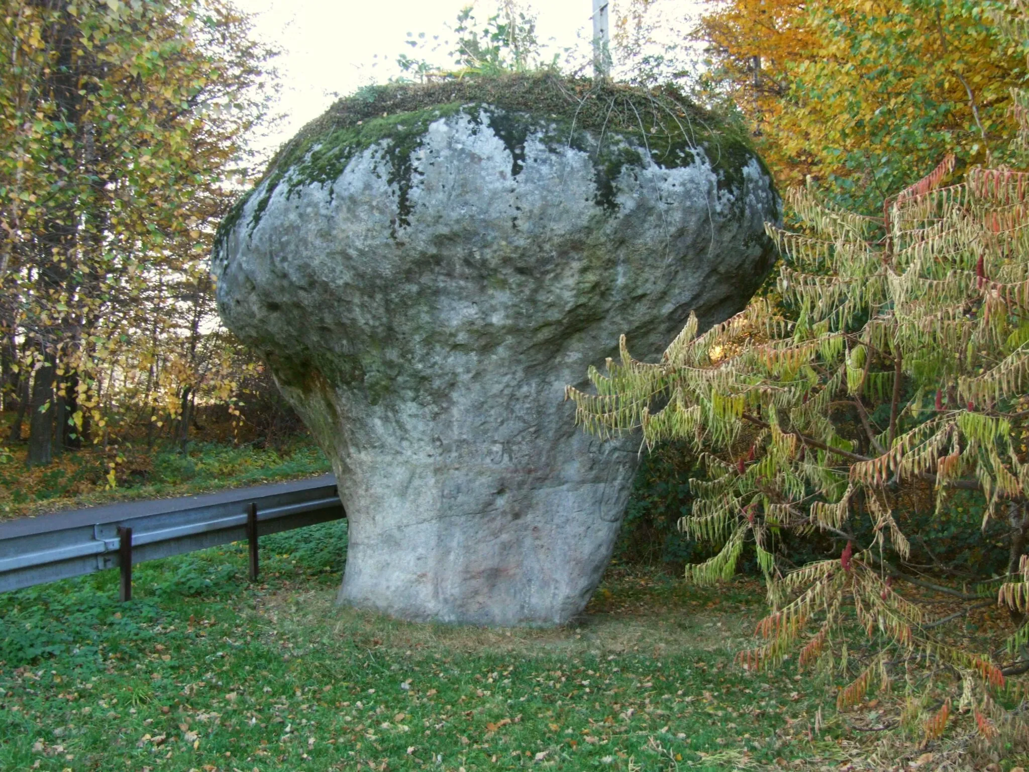 Photo showing: Kamień Grzyb w Zegartowicach