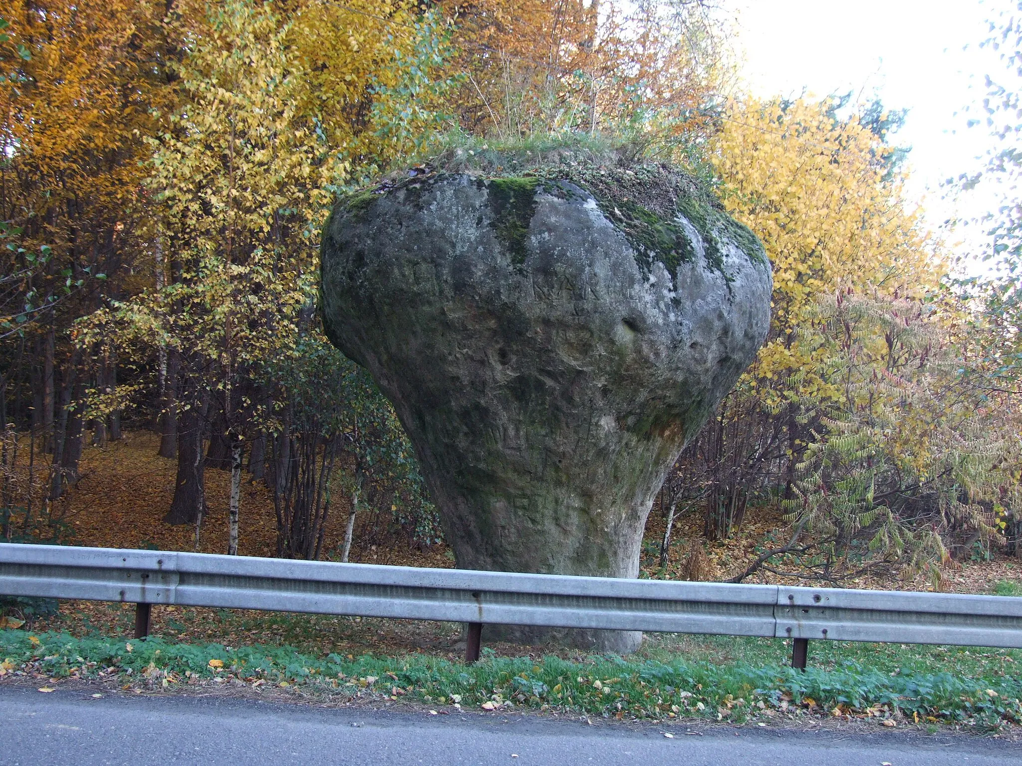 Photo showing: Kamień Grzyb w Zegartowicach