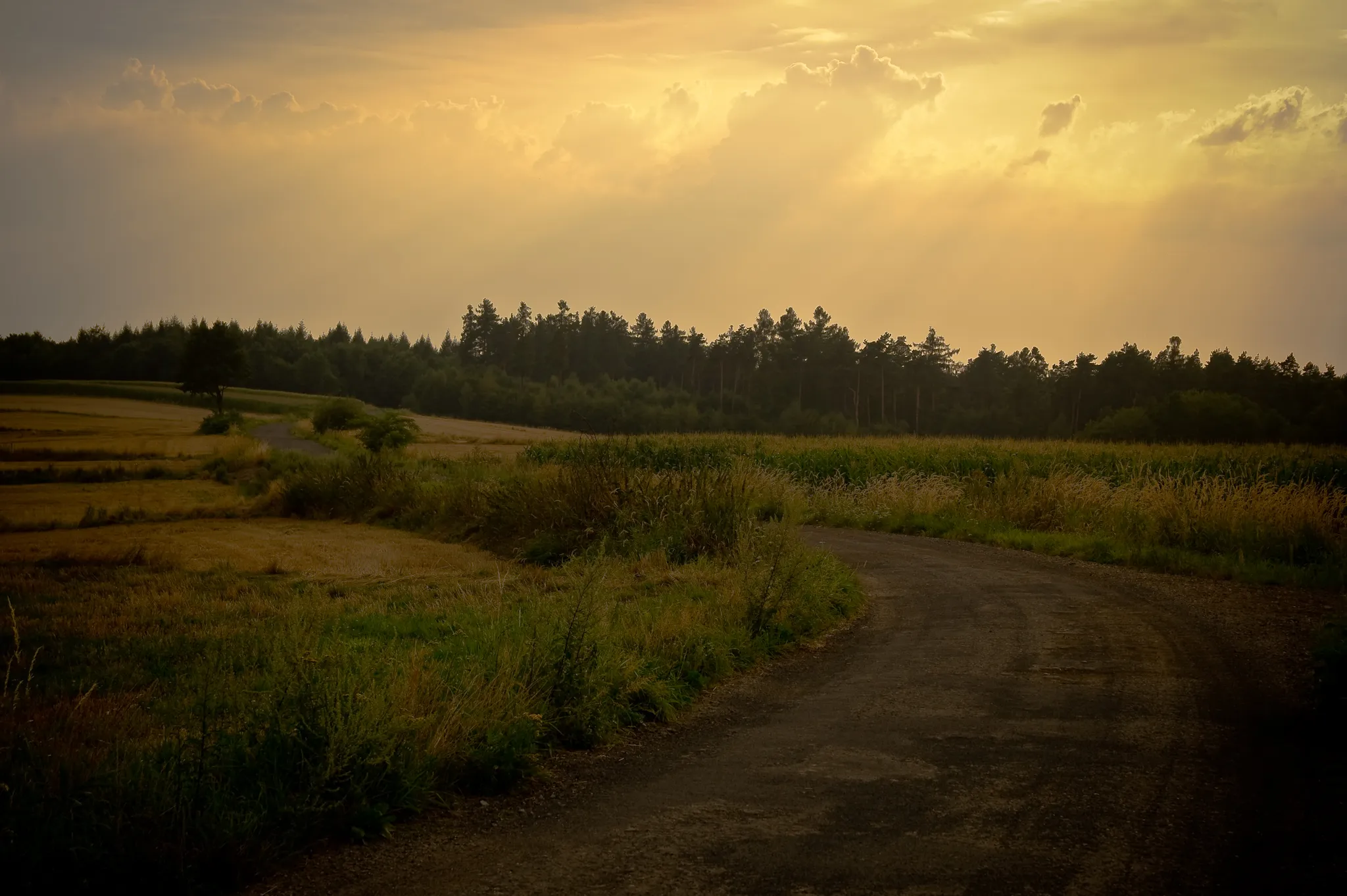 Photo showing: Droga do Kaniowa