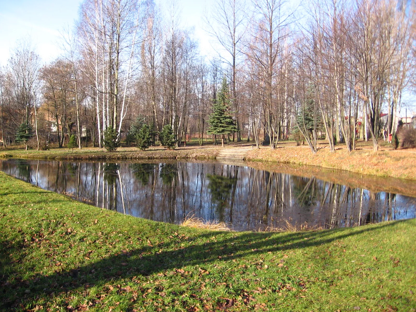 Photo showing: Staw w Wywierzysku w Strzemieszycach Wielkich (Dąbrowa Górnicza).
foto: geograf.gp