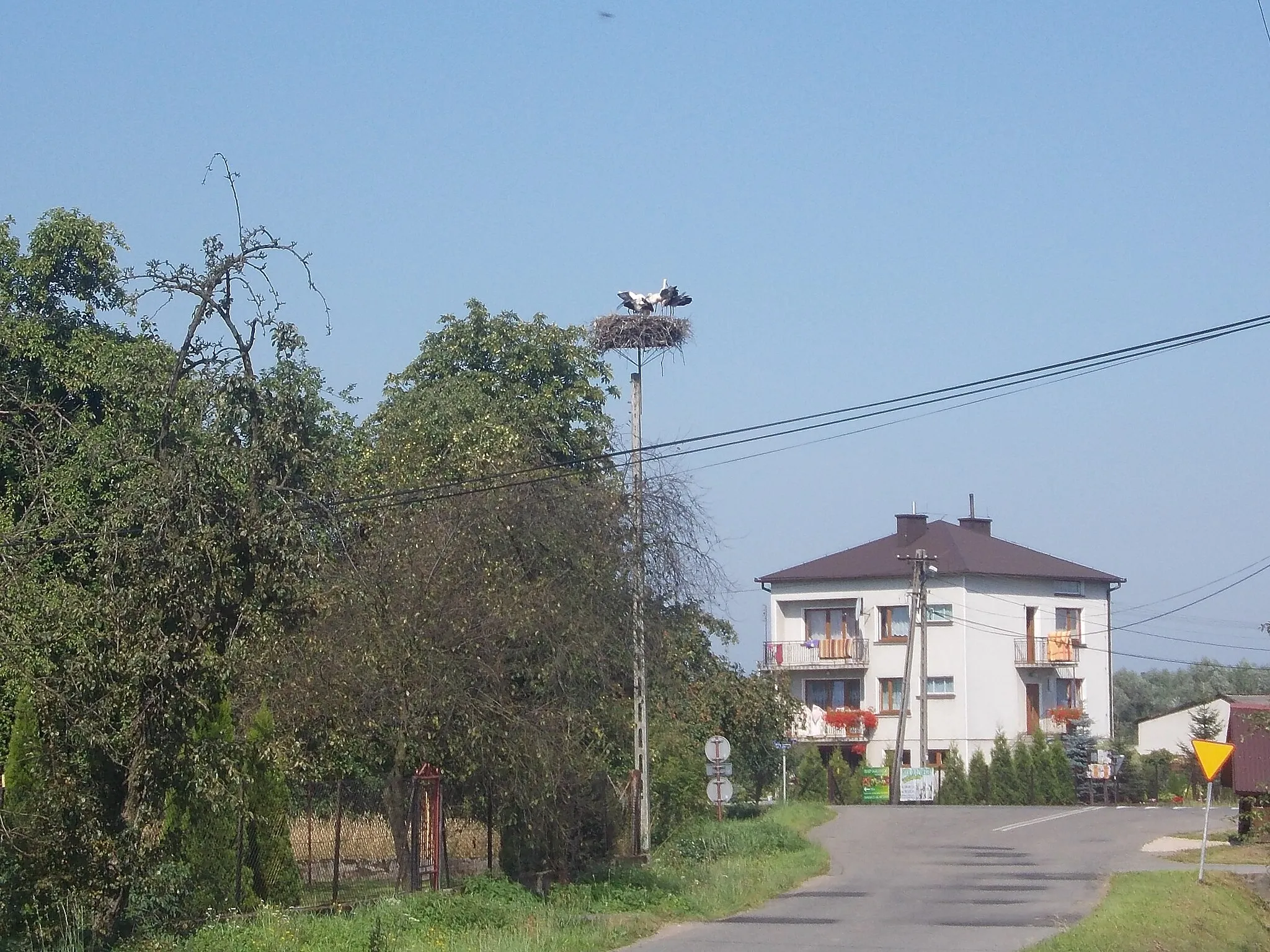 Photo showing: Gniazdo bociana białego w Damienicach, woj. małopolskie