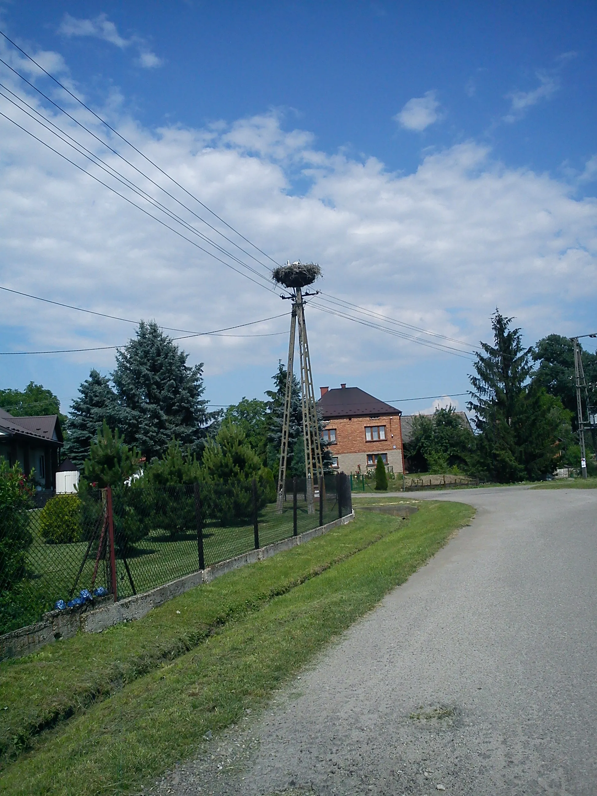 Photo showing: gniazdo bocian biały Marcinkowice, Polska