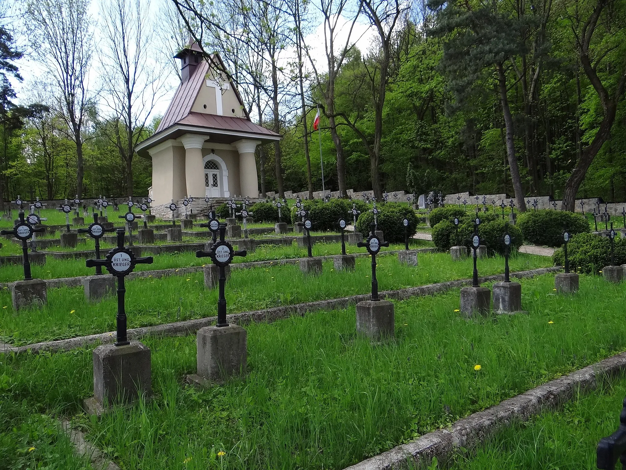 Photo showing: Cmentarz wojenny nr 171 – Łowczówek