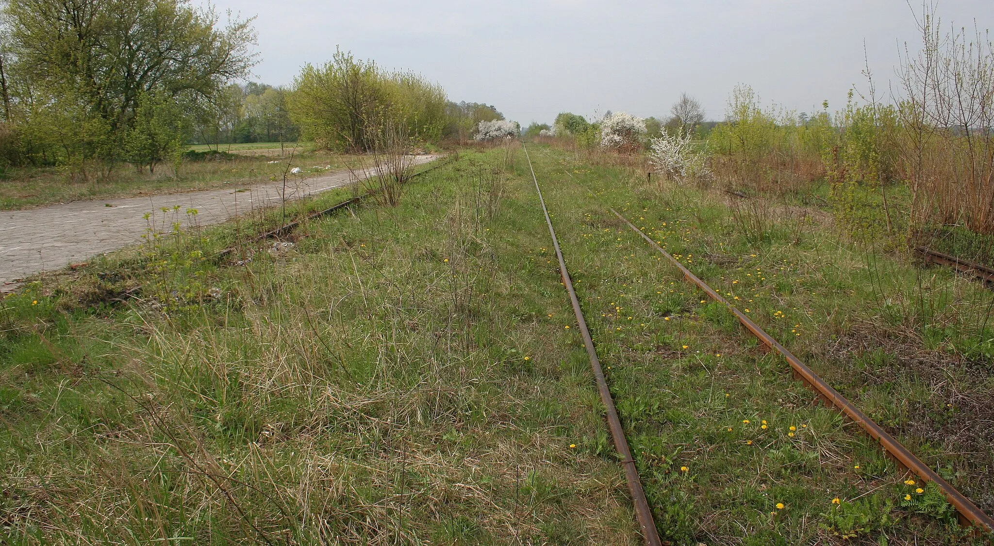 Photo showing: The old station in Wychylówka, Poland.