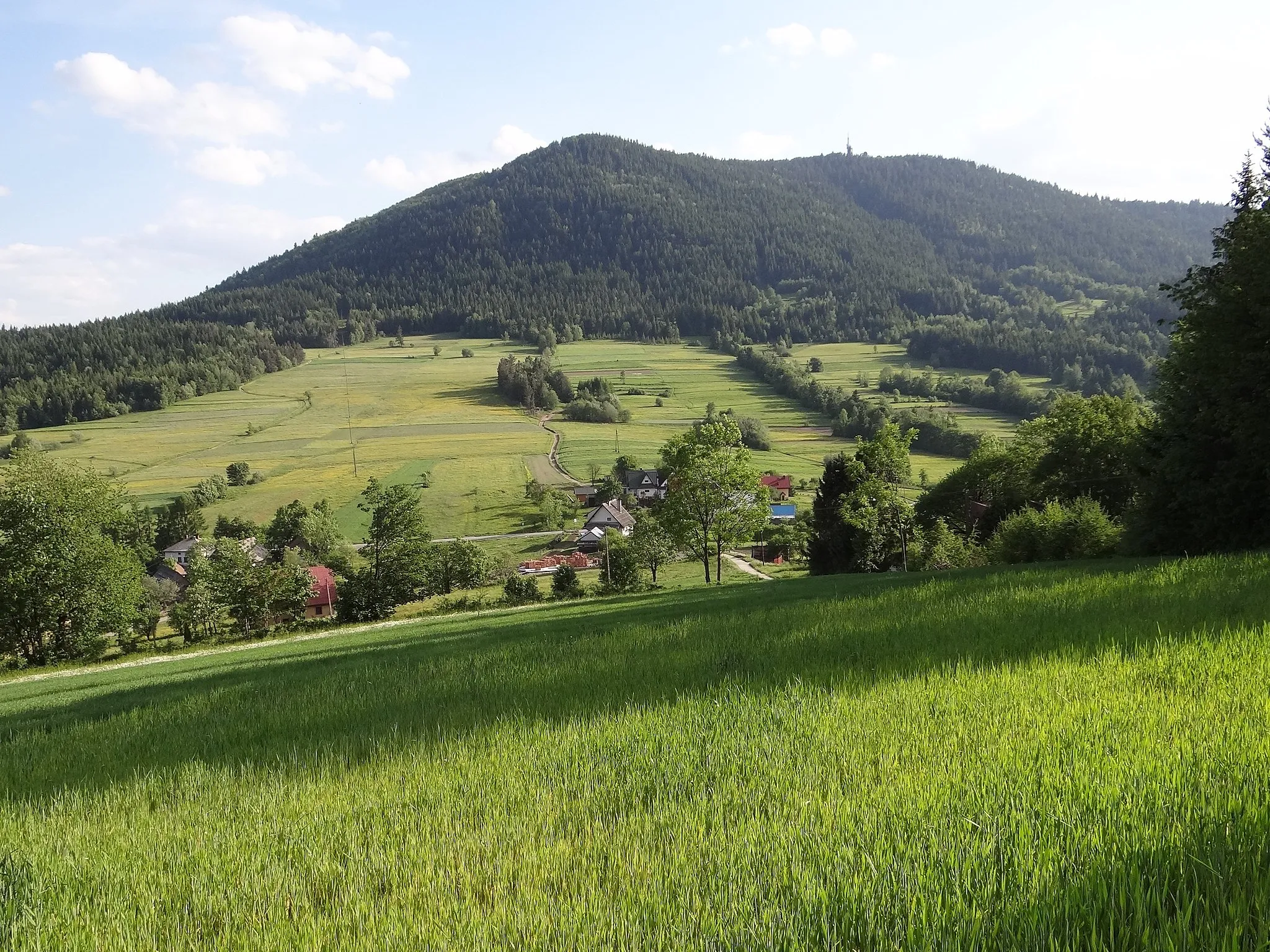 Photo showing: Luboń Wielki i przełęcz Glisne, widok ze zboczy Szczebla