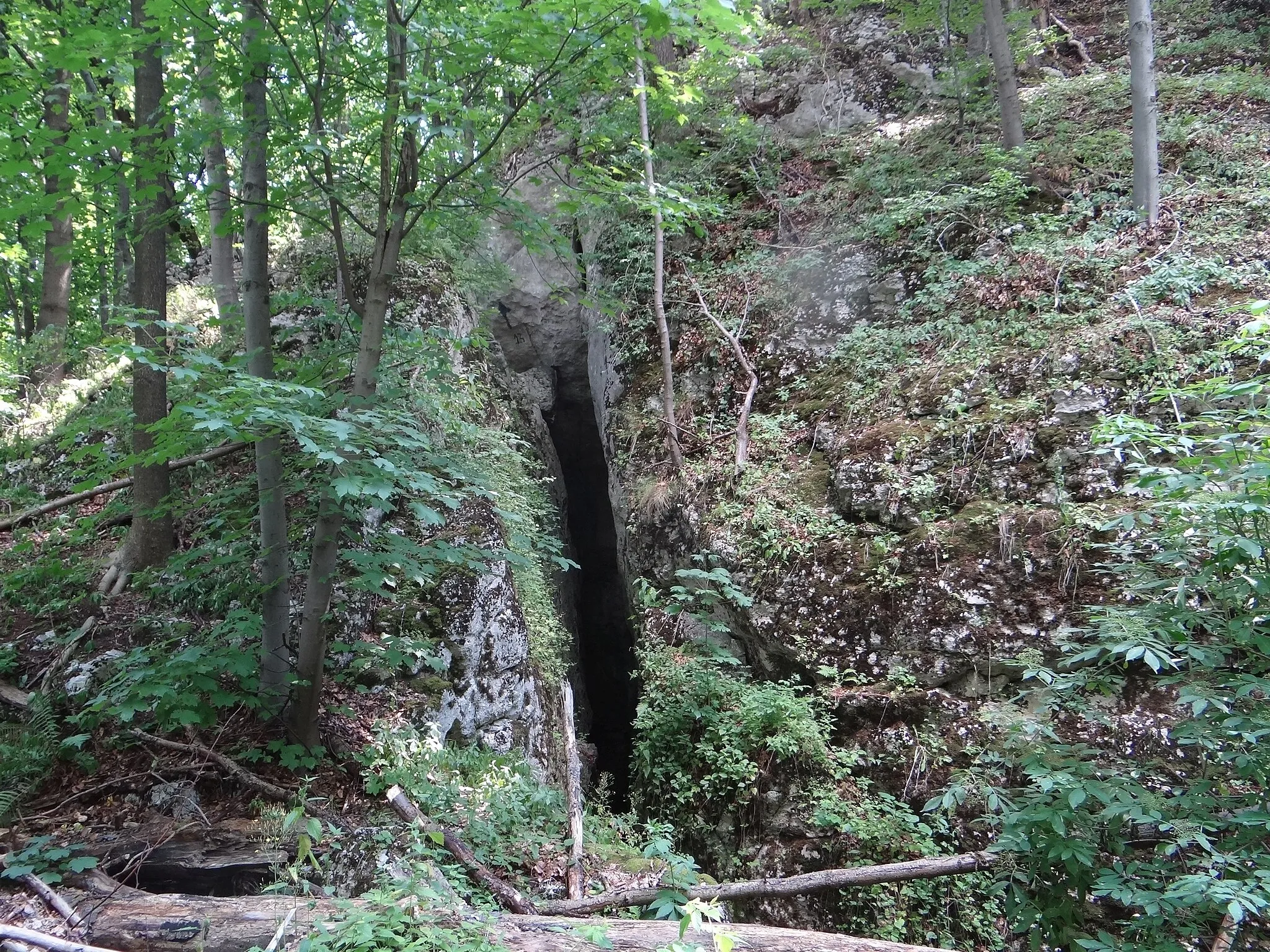 Photo showing: Jaskinia Lodowa w Jaroszowcu