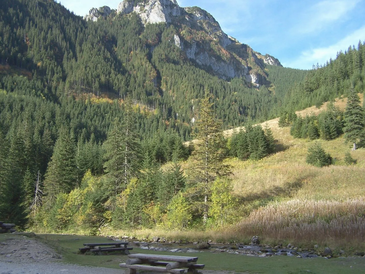 Photo showing: Polana Pisana w Dolinie Kościeliskiej