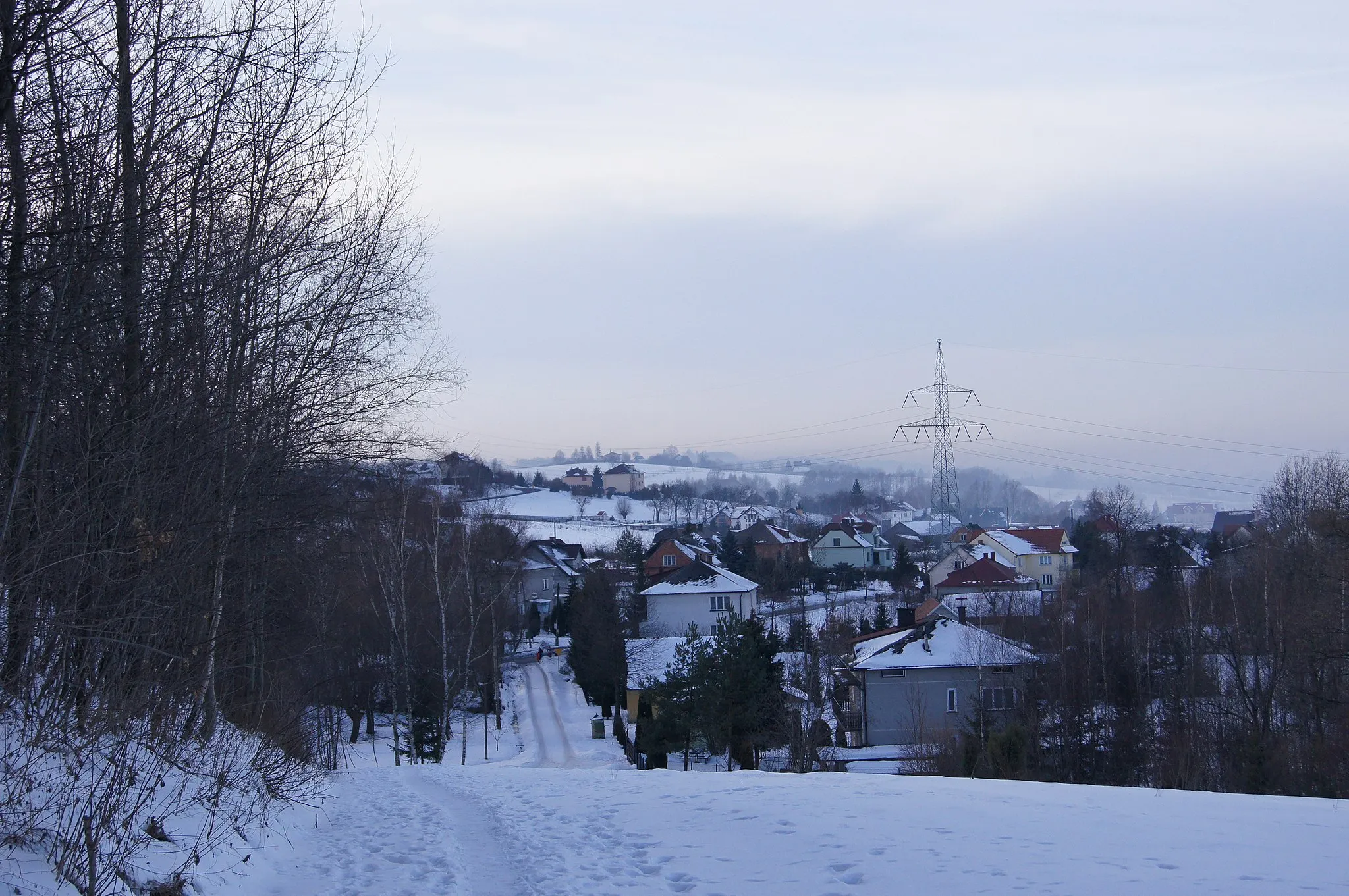 Photo showing: Widok na Dulany (część Wrząsowic) w styczniu 2011 roku.