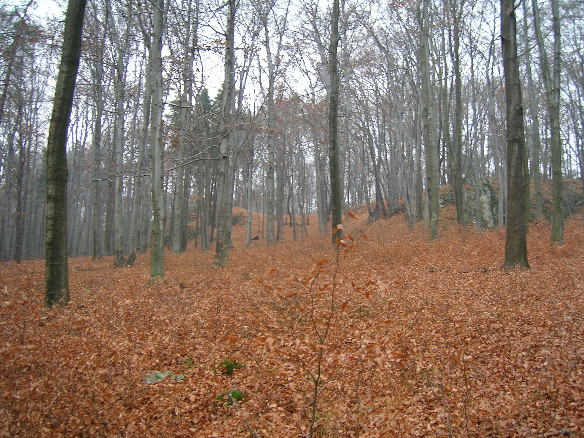 Photo showing: Góra Kominki