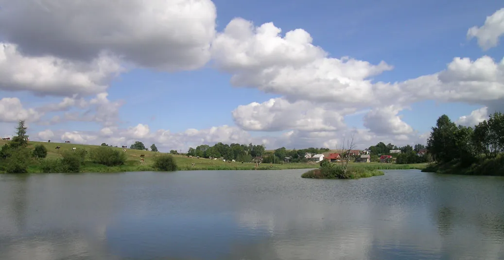 Photo showing: lake in Wolbrom, Poland
