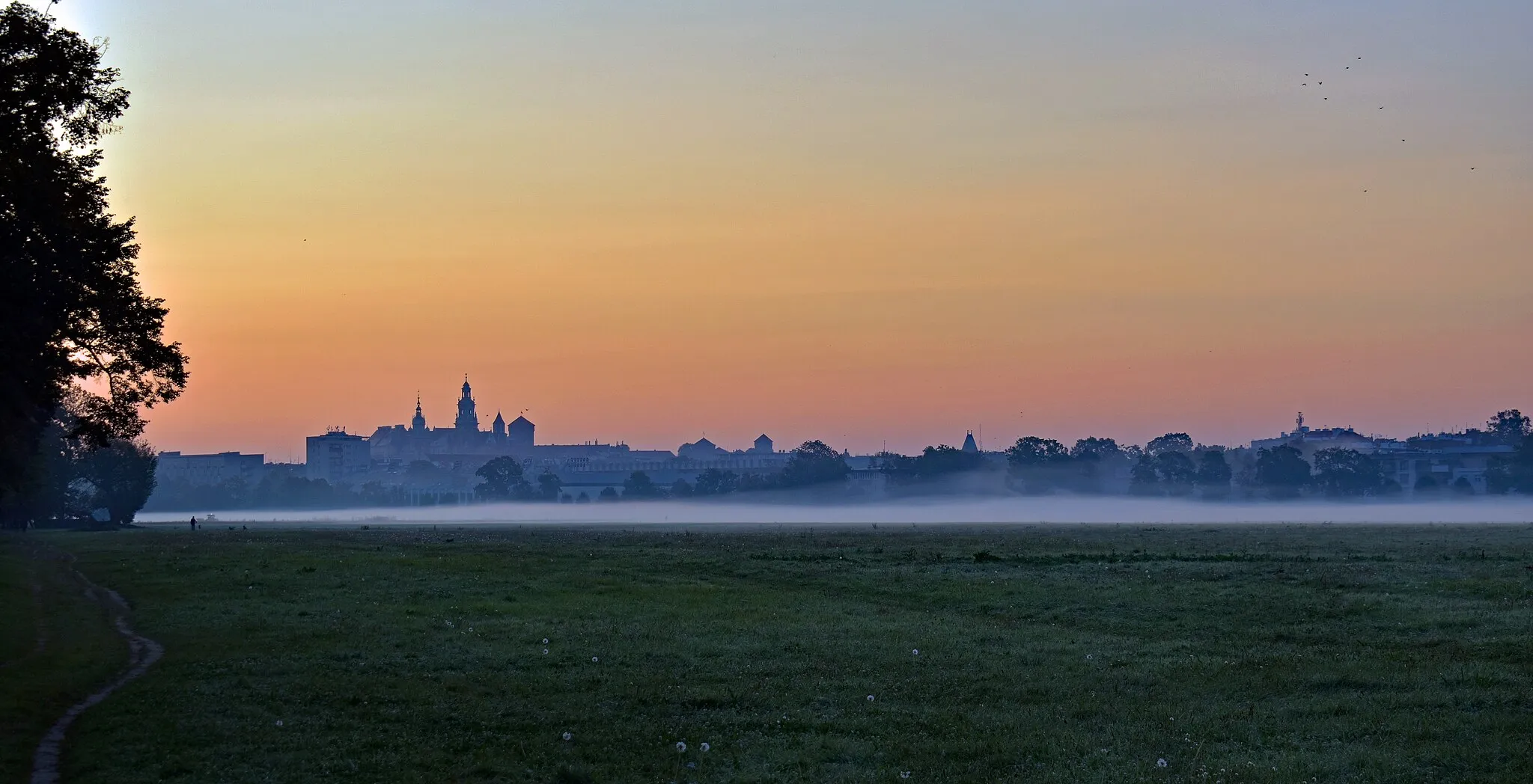 Photo showing: Błonia Park, morning, Kraków, Poland
