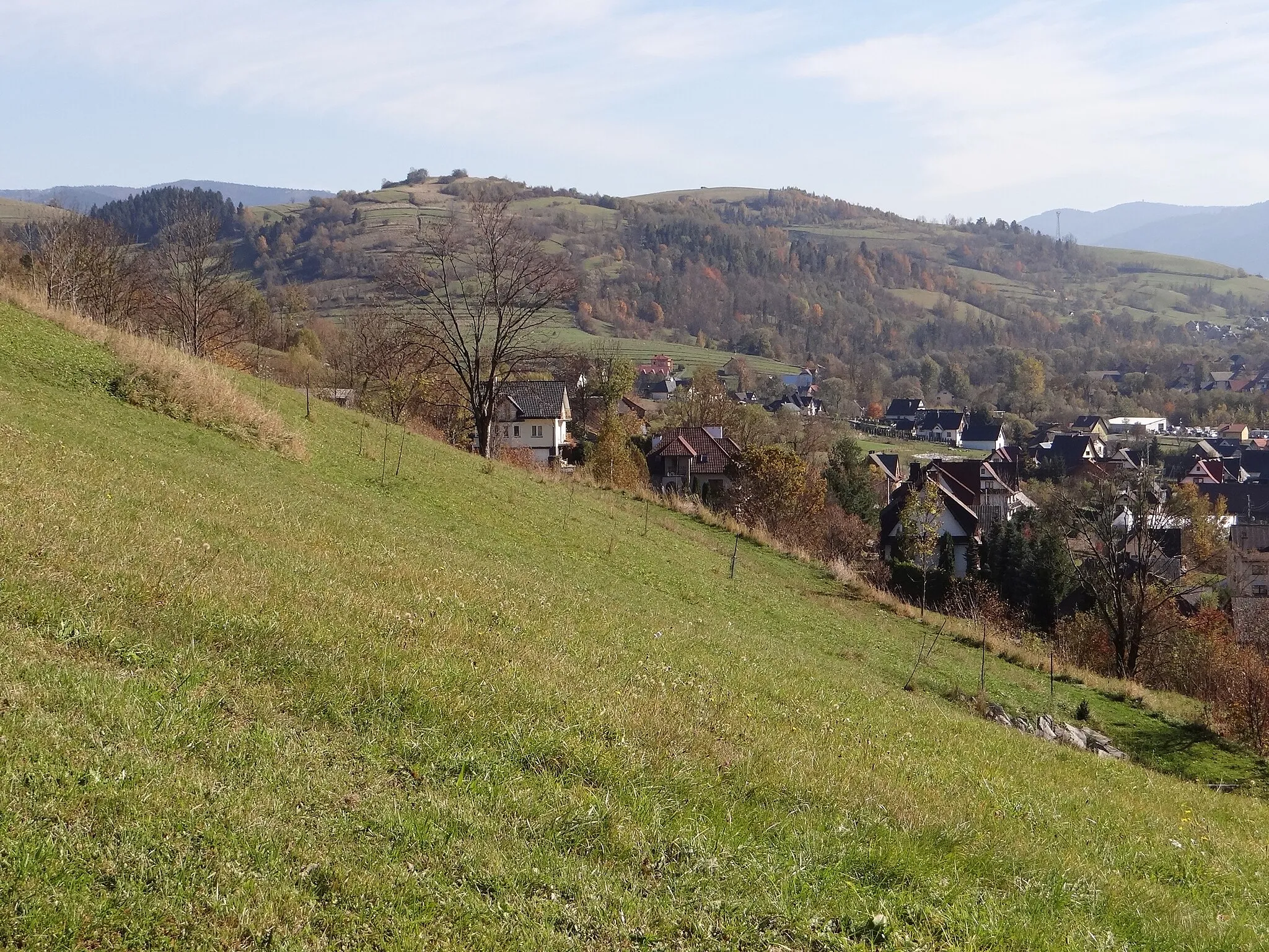 Photo showing: Widok na Kocią Górkę z Wsołowej