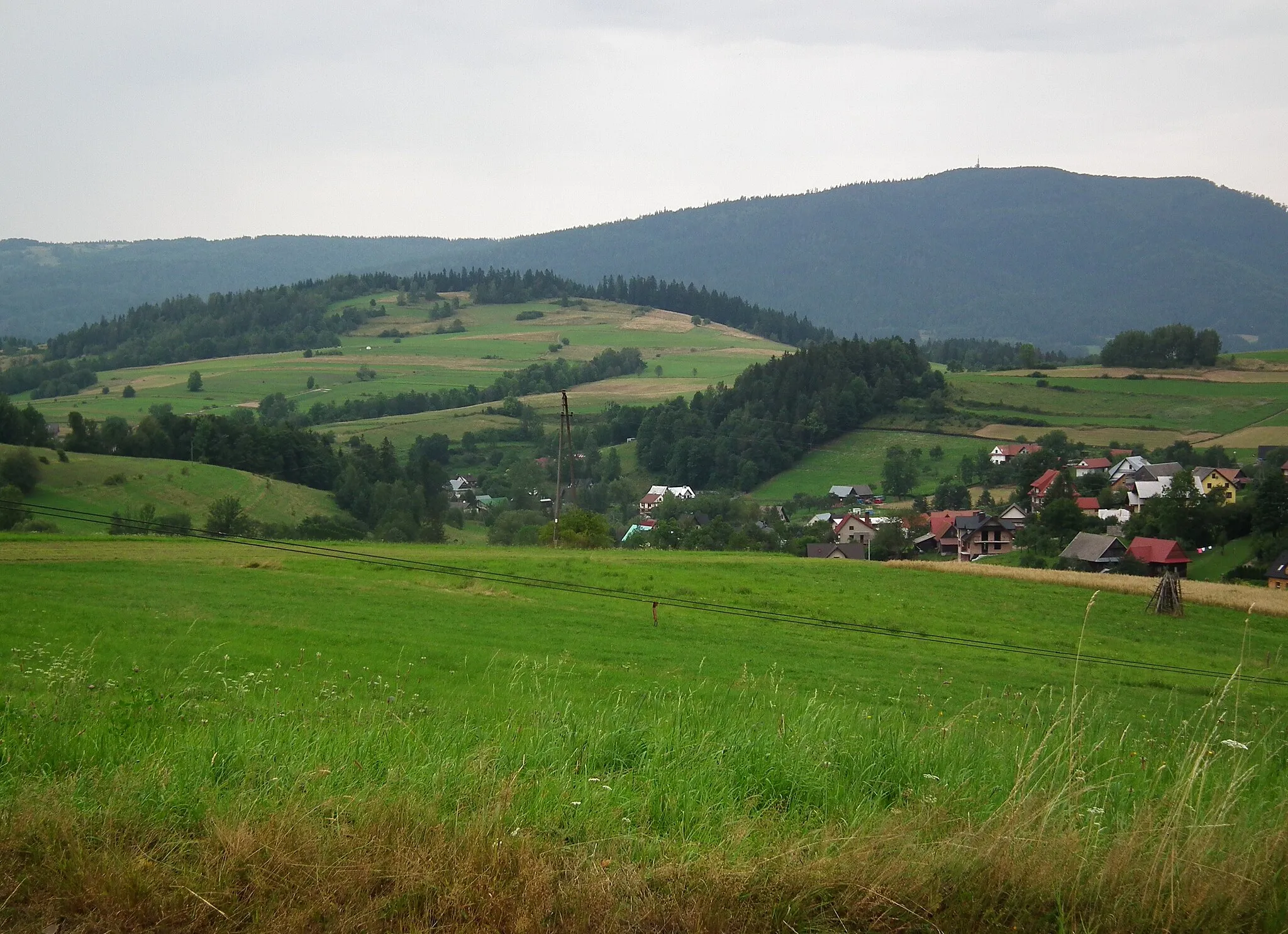 Photo showing: Luboń Wlk.