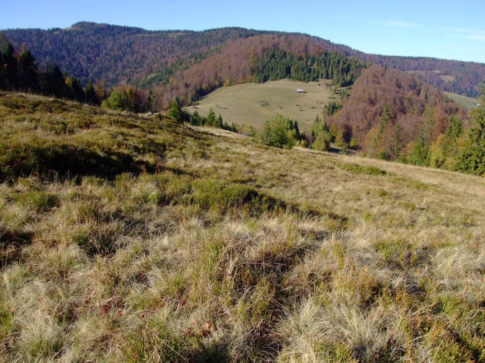 Photo showing: Przysłop w Gorcach. Widok z żółtego szlaku turystycznego od Hawiarskiej Koliby