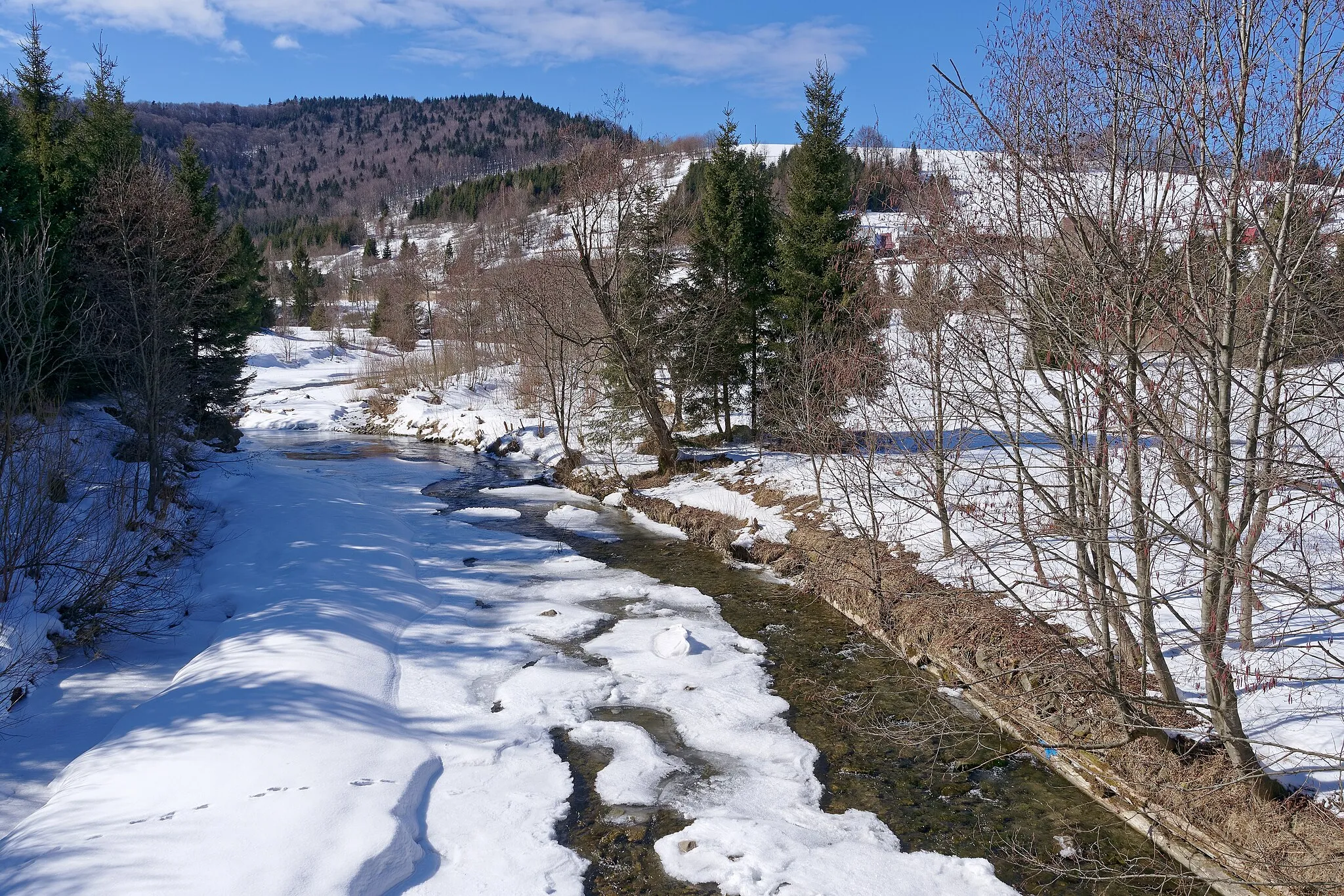 Photo showing: Kamienica Gorczańska river in Lubomierz