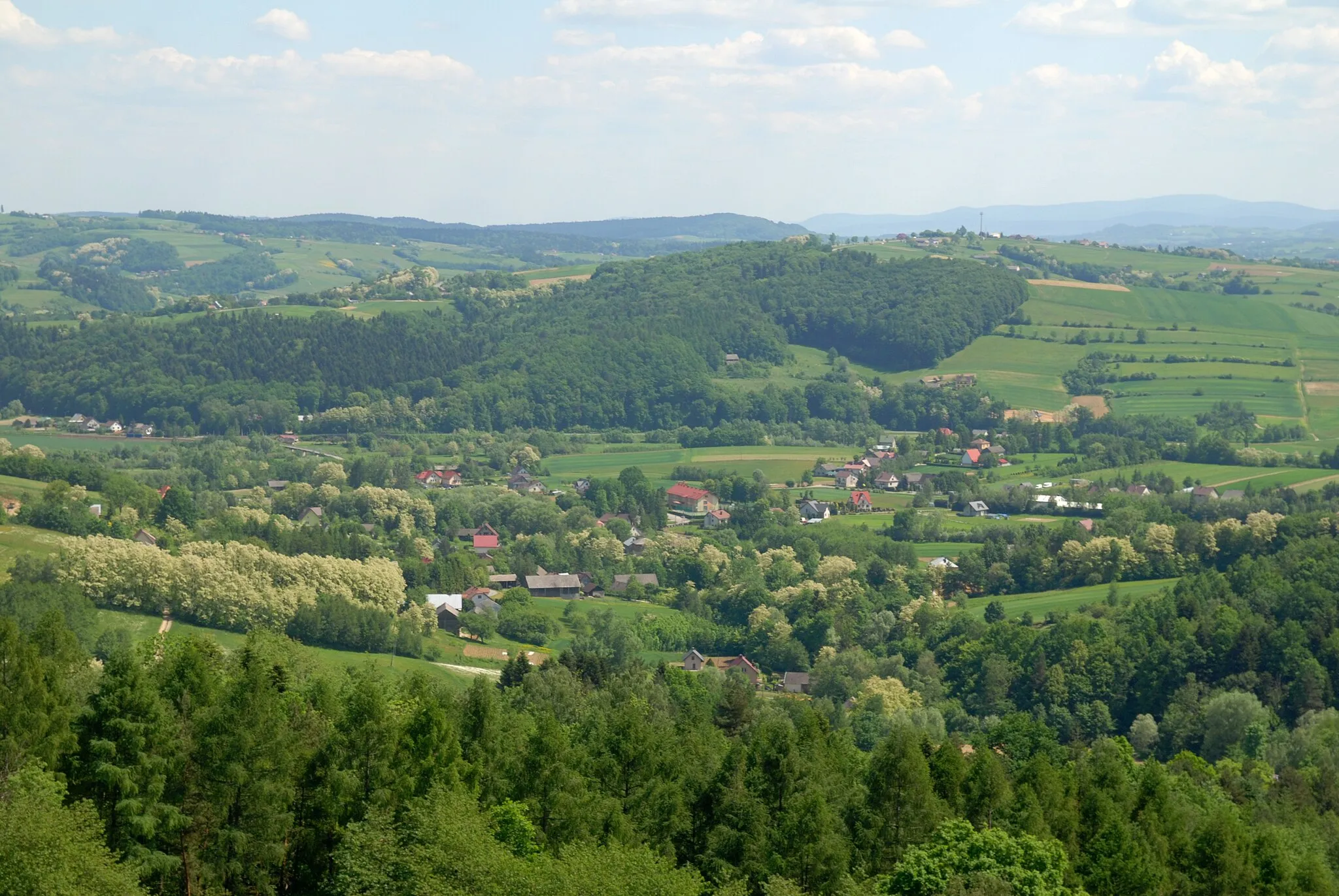 Photo showing: wieś Bruśnik