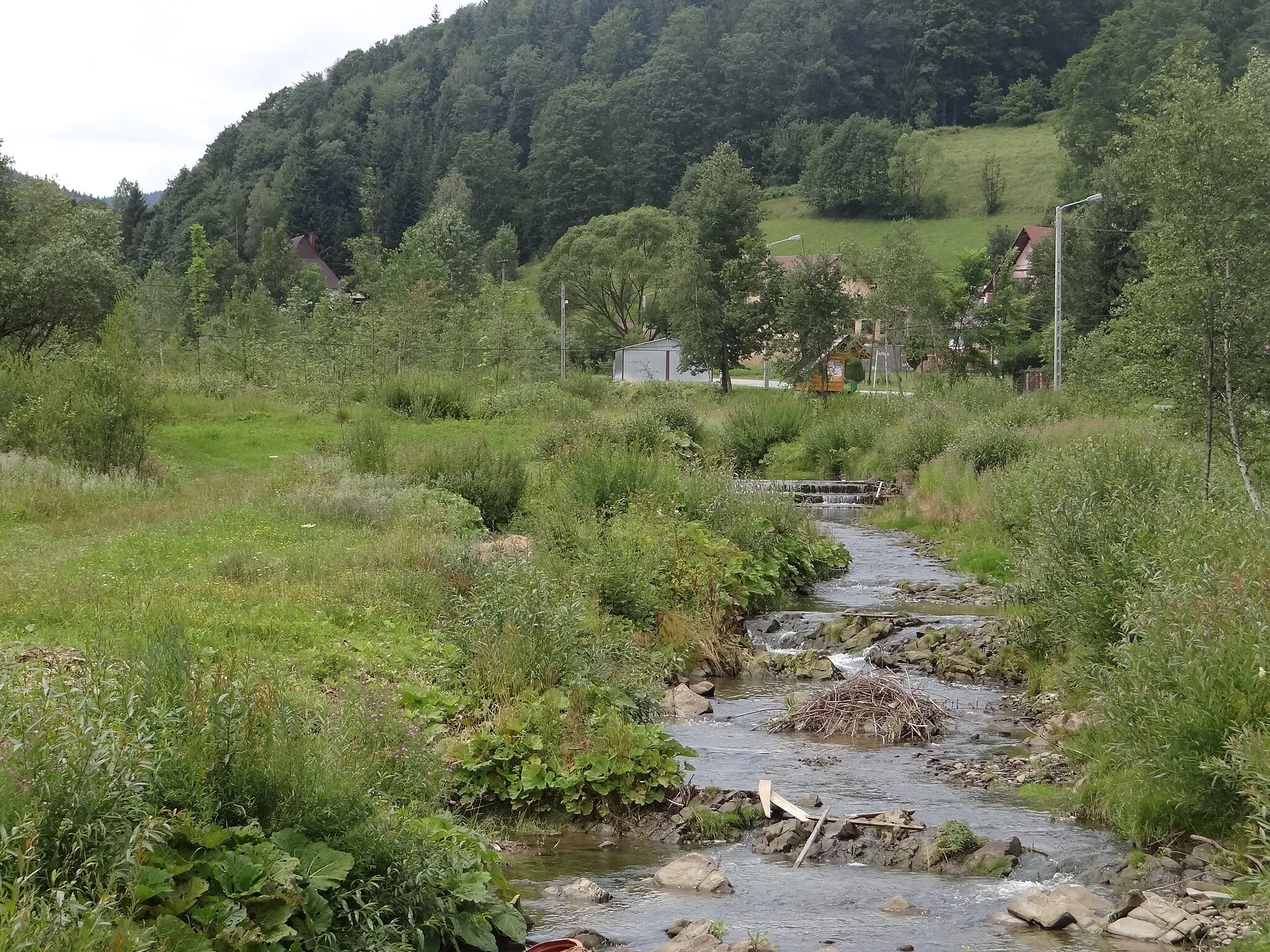 Photo showing: Potok Bogdanówka w Skomielnej Czarnej