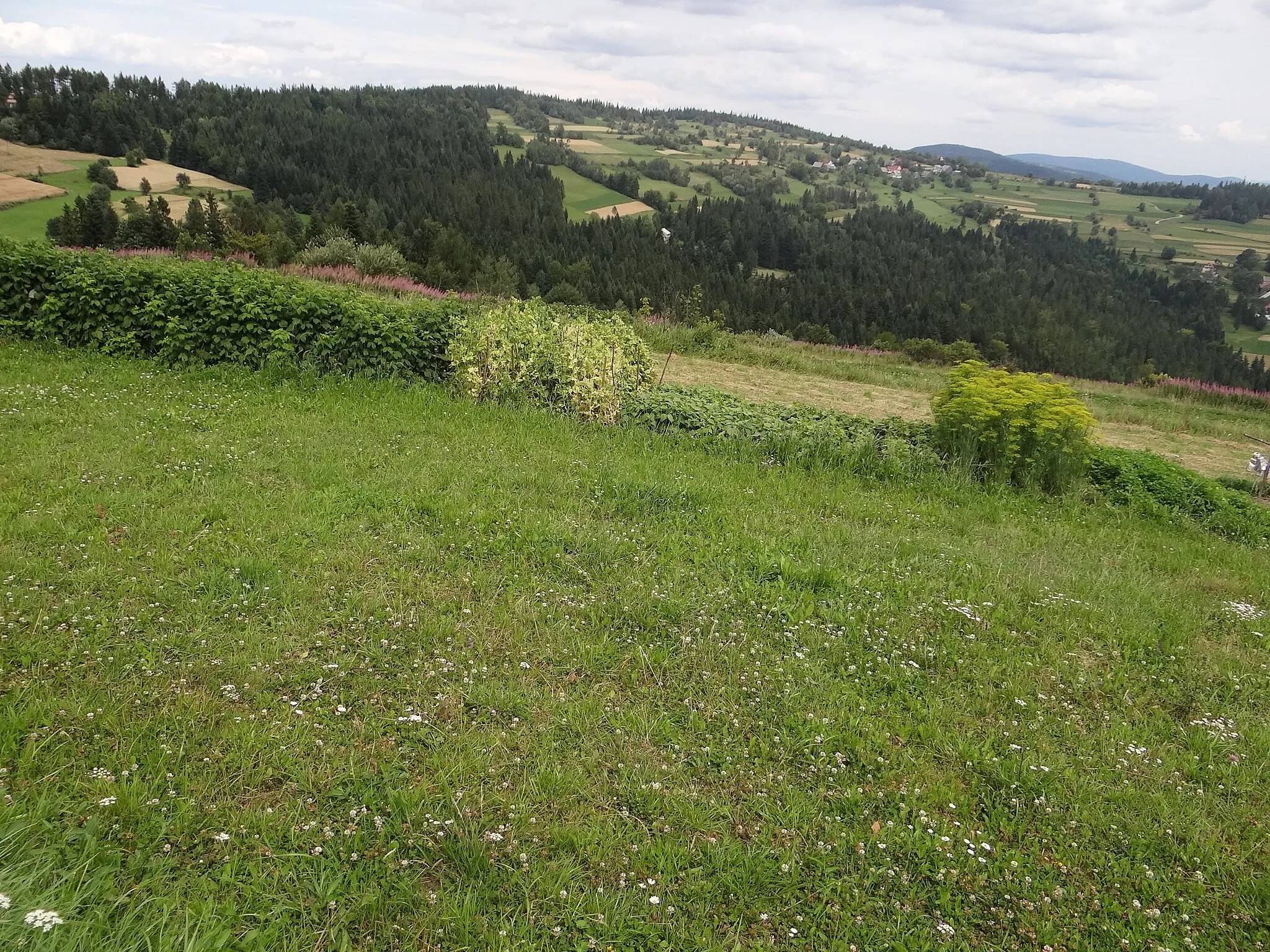 Photo showing: Widok na Parszywkę z Koskowej Góry