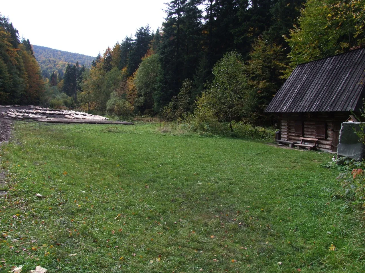 Photo showing: Polana Papieżówka w Gorcach