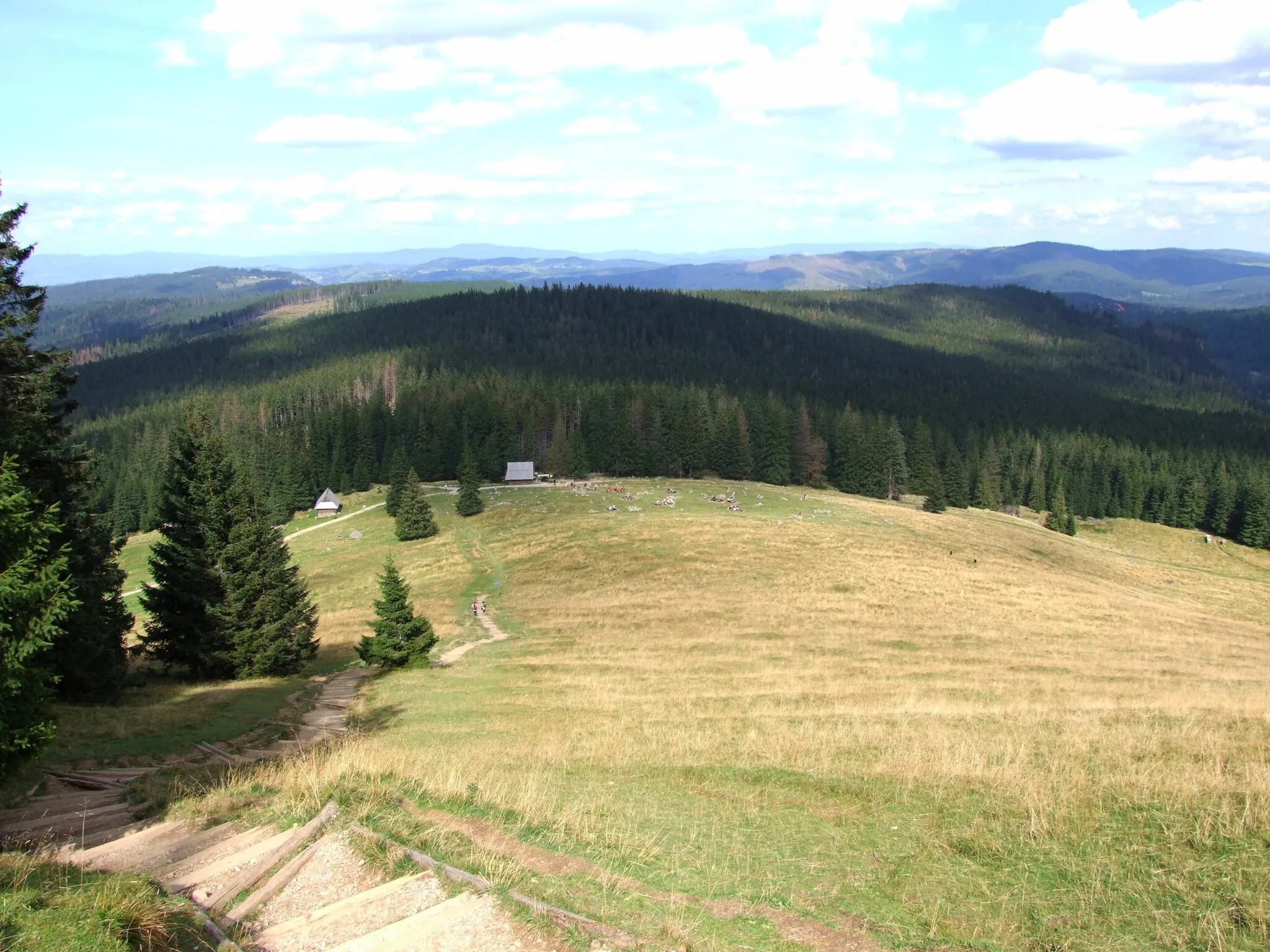 Photo showing: Widok z górnej części Rusinowej Polany (stok Gęsiej Szyi) na Pogórze Spisko-Gubałowskie