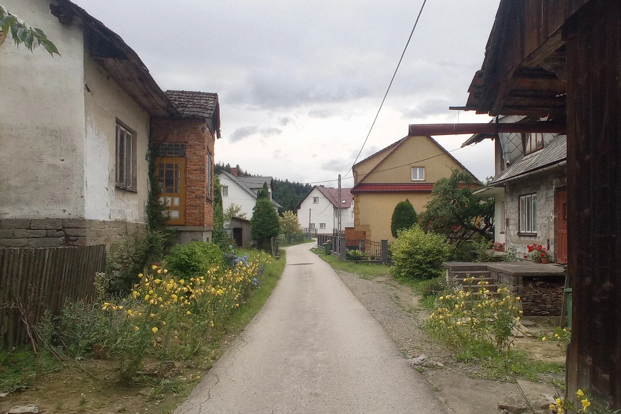 Photo showing: Harbutowice Końcówka, ulicą wiedzie czerwony szlak (Mały Szlak Beskidzki)