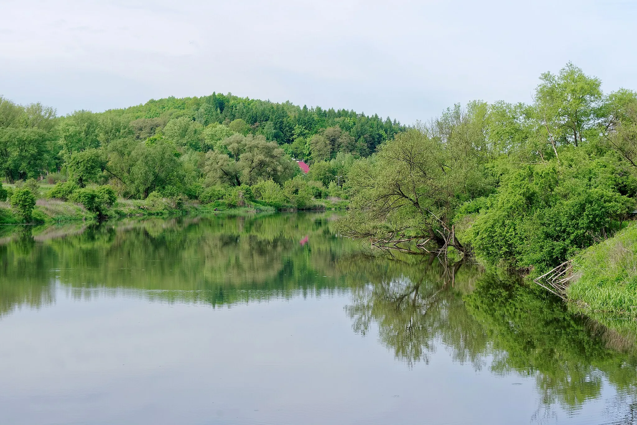 Photo showing: Oxbow lake of Vistula River near Tyniec district of Kraków