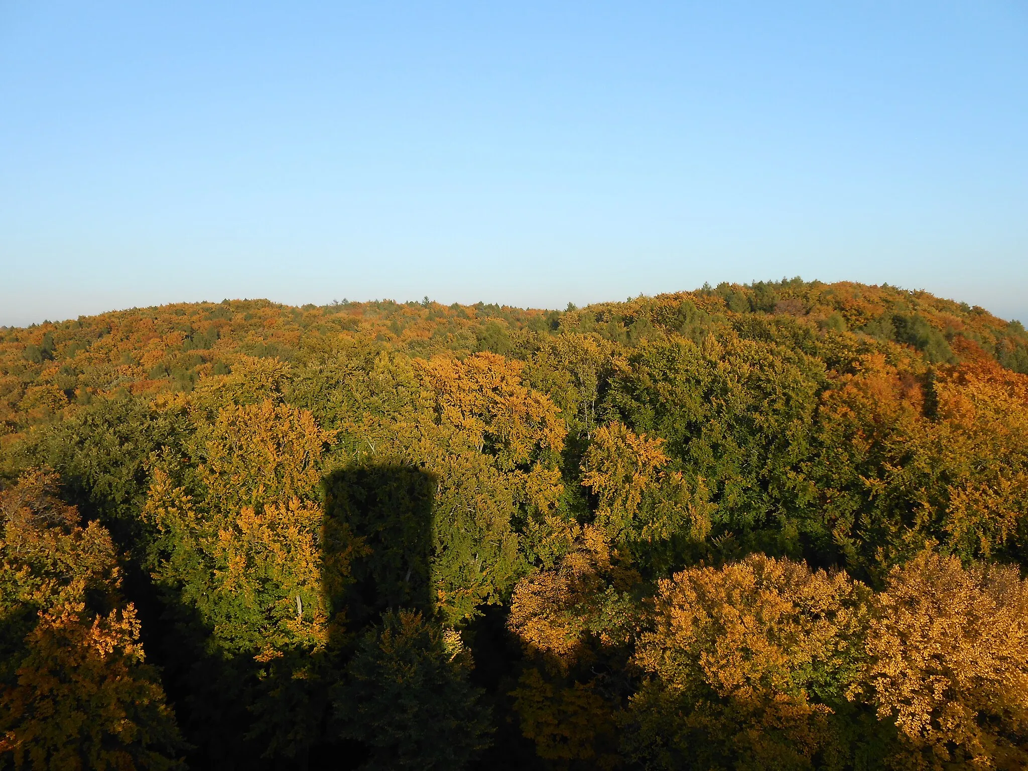 Photo showing: View from the Lipowiec castle tower in autumn