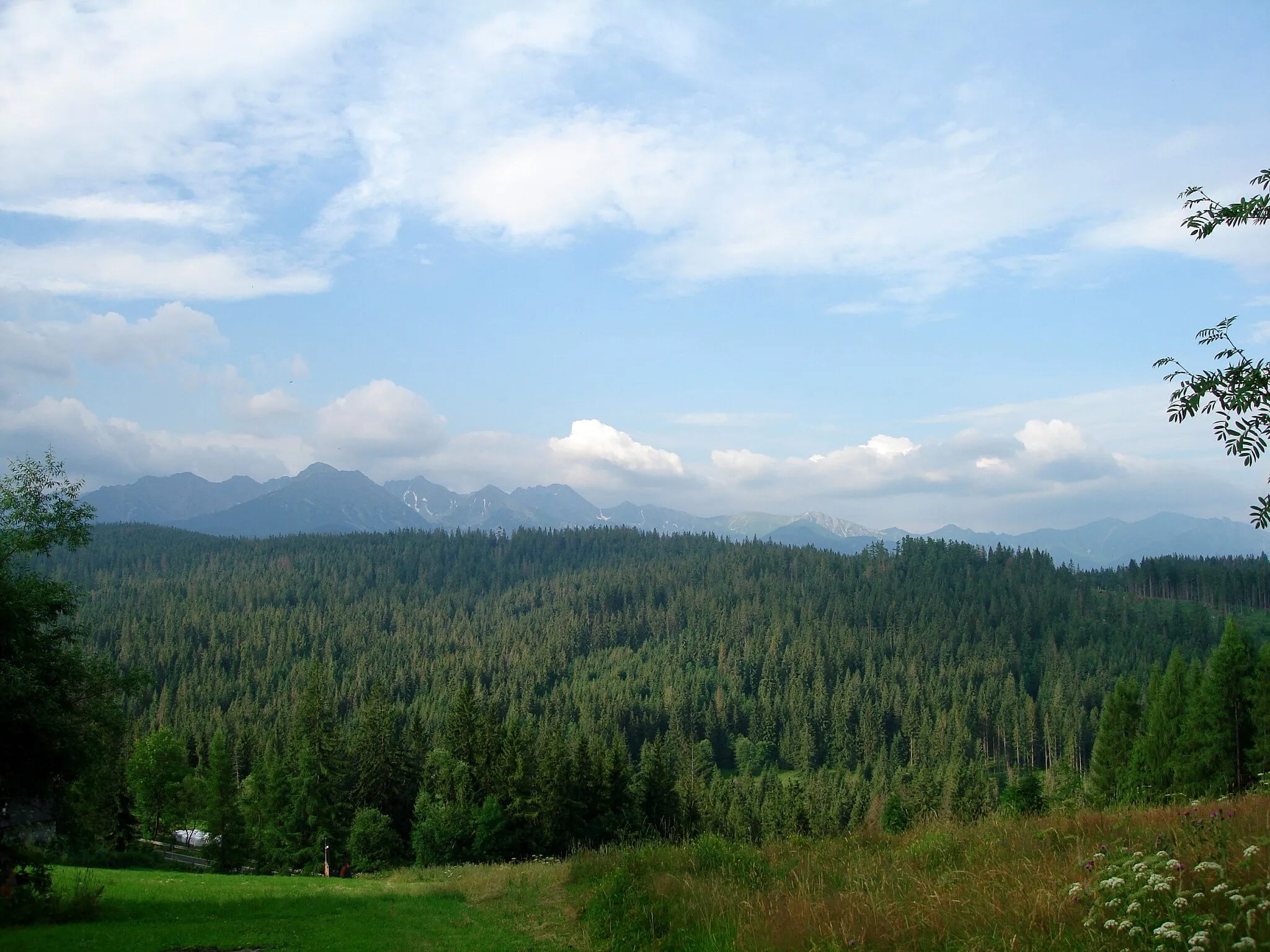 Photo showing: Bukowina Tatrzanska, Poland