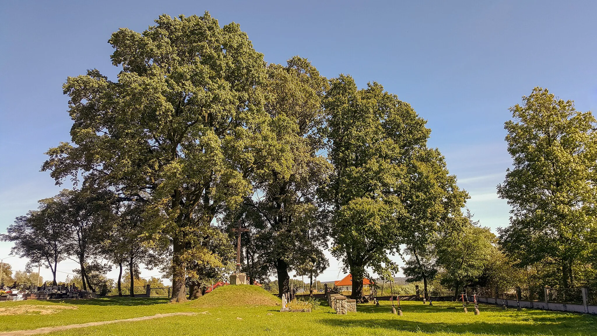 Photo showing: Cmentarz wojenny nr 207 z okresu I wojny światowej w Lisiej Górze. Widok ogólny