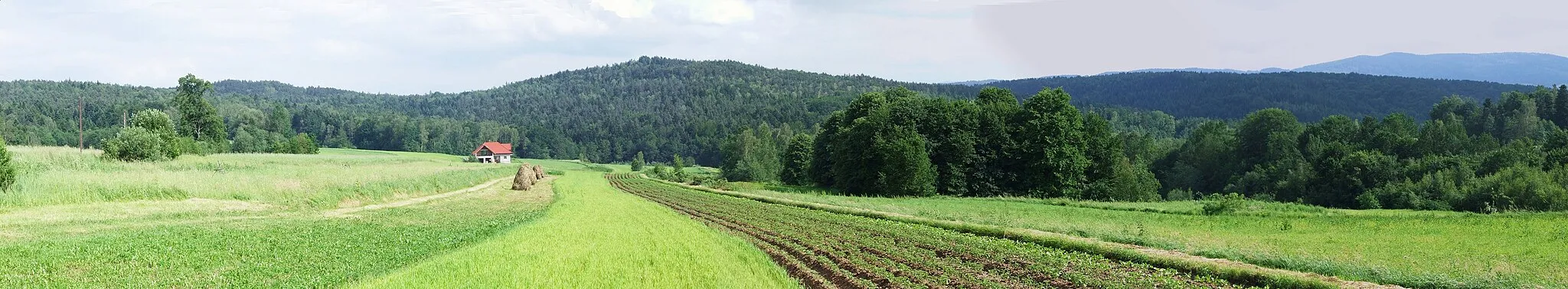 Photo showing: Widok z Muchówki na Paprotna. W prawym górnym rogu Łopusze
