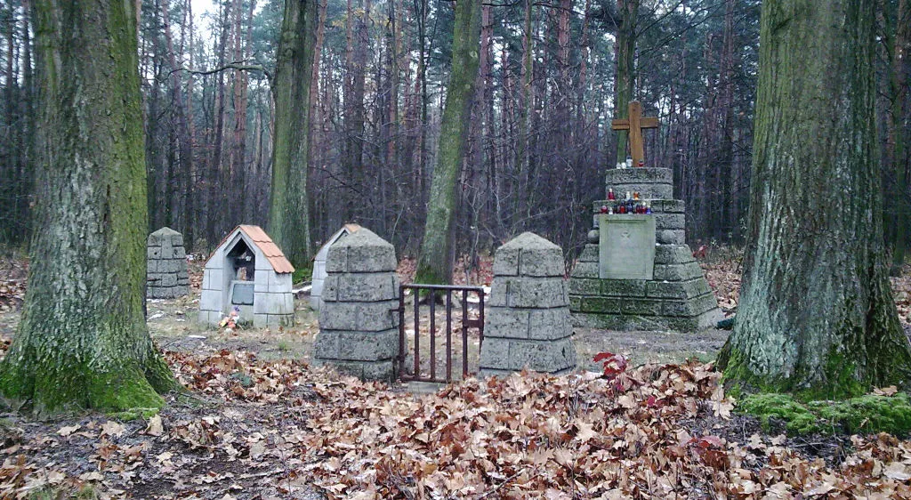 Photo showing: Cmentarz wojenny nr 267 w Waryś.