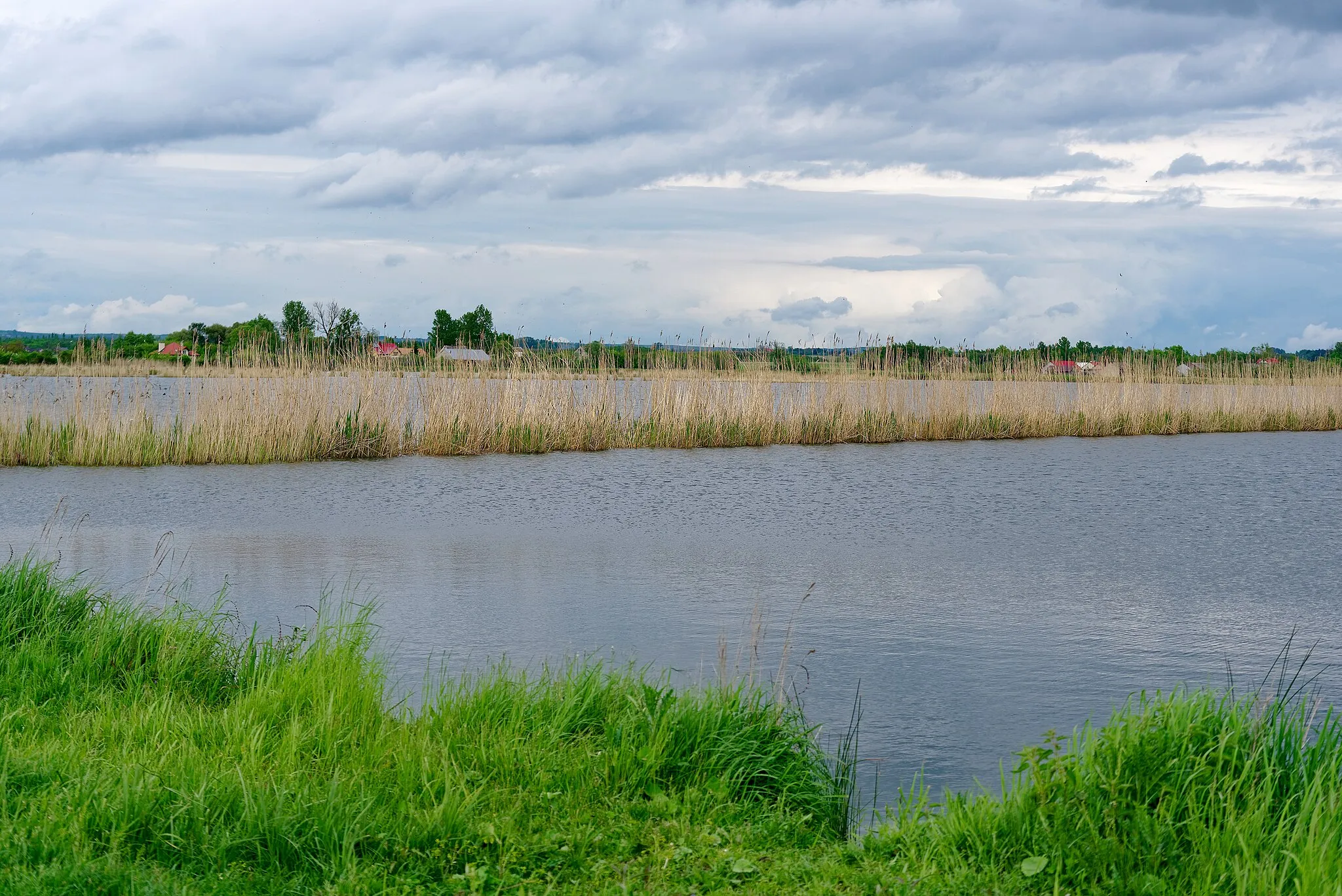 Photo showing: Fish-breeding ponds near Szczerbaków in Świętokrzyskie Voivodeship