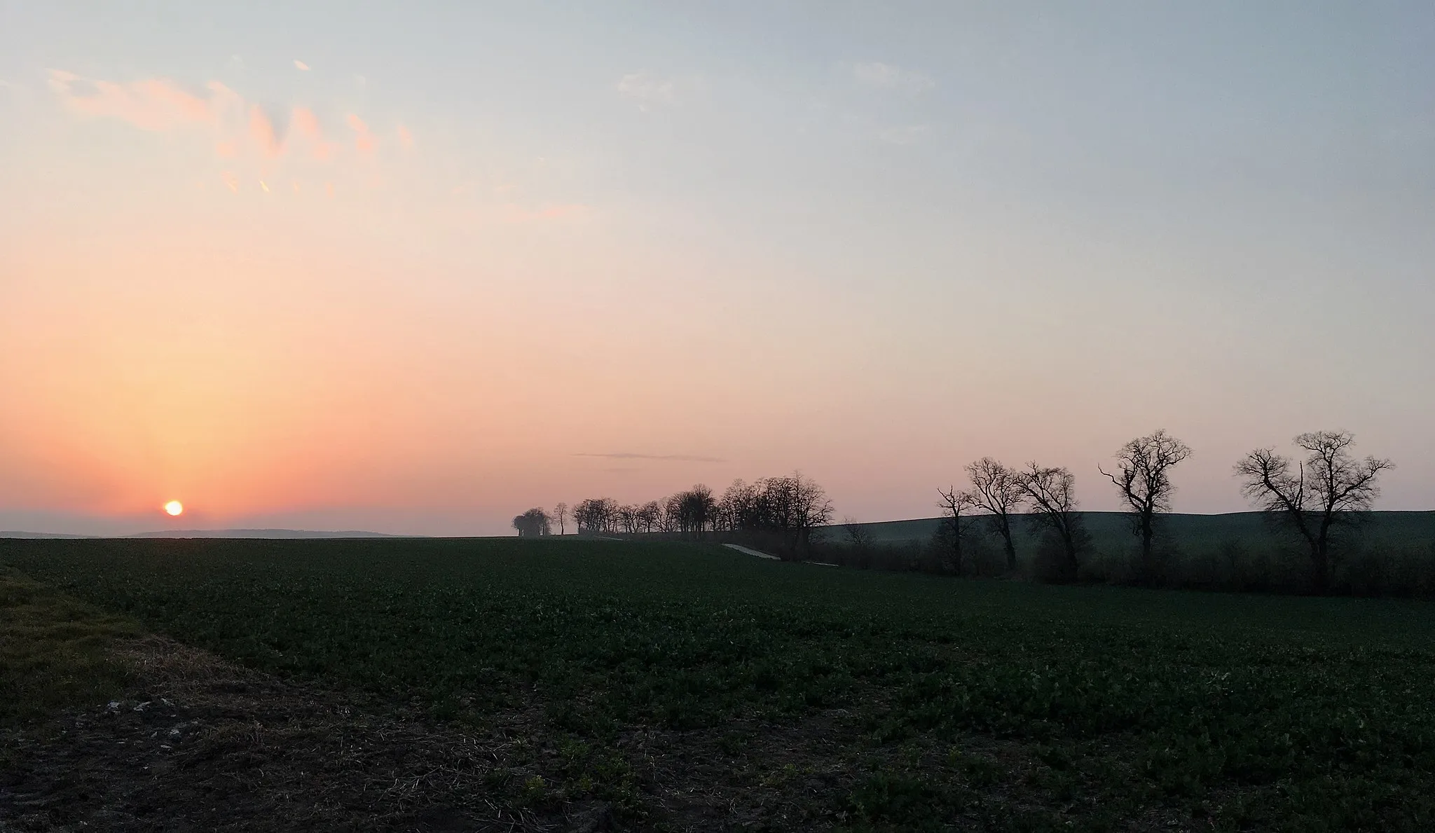 Photo showing: Pola uprawne Skrzeszowic o zachodzie słońca