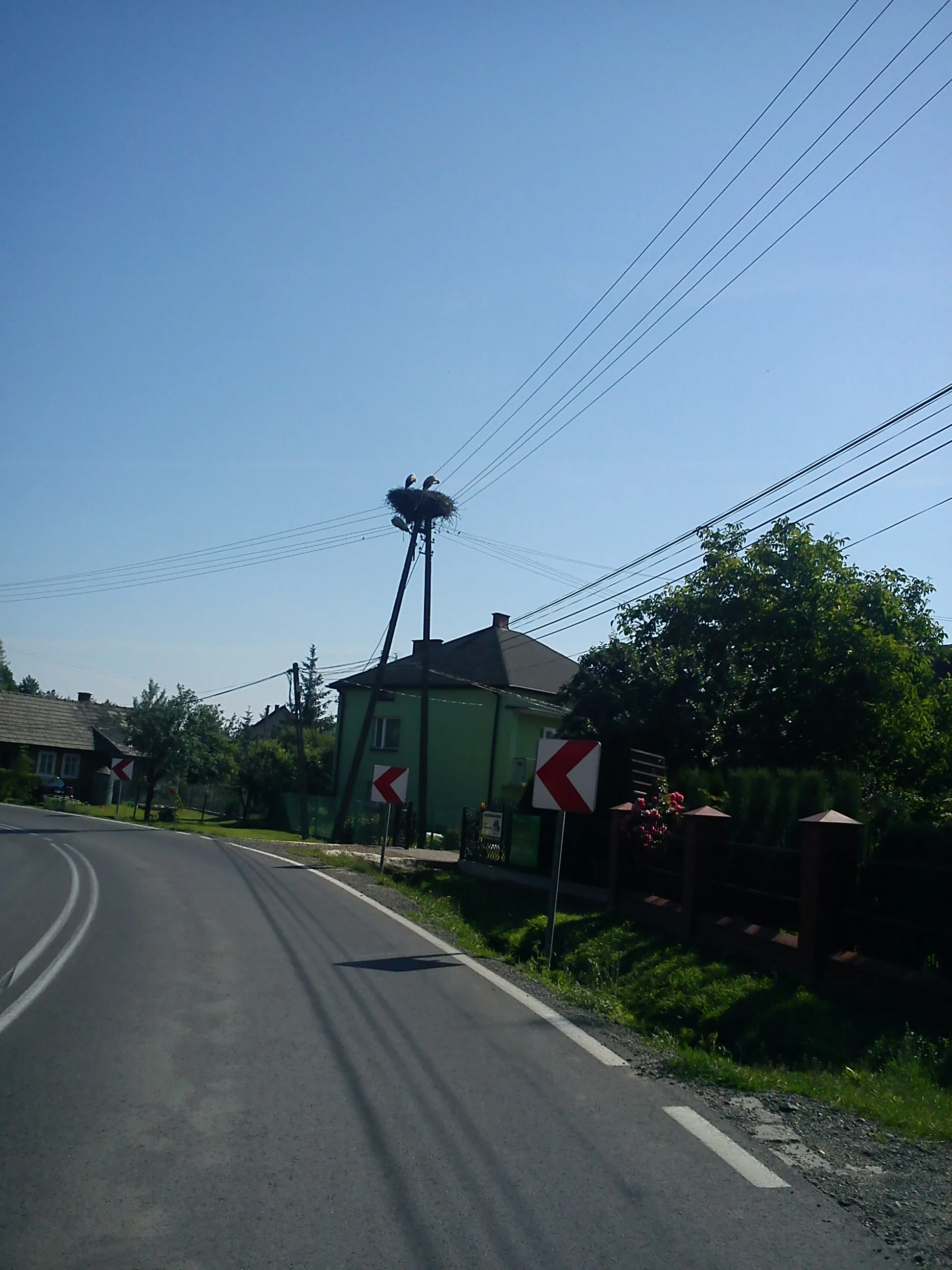 Photo showing: gniazdo bociana białego Mokrzyska Polska