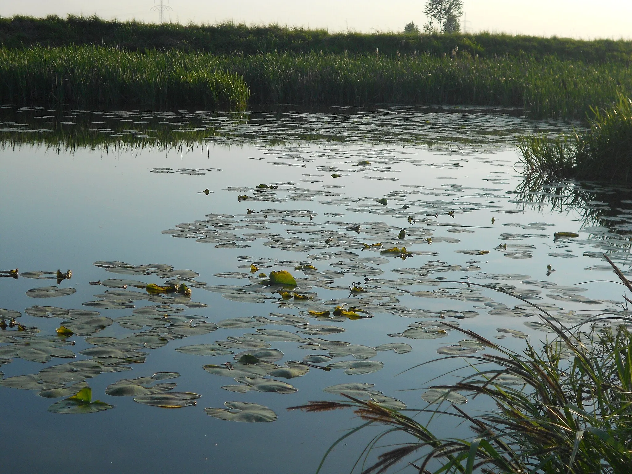 Photo showing: This is a a picture of a Natura 2000 protected area with ID