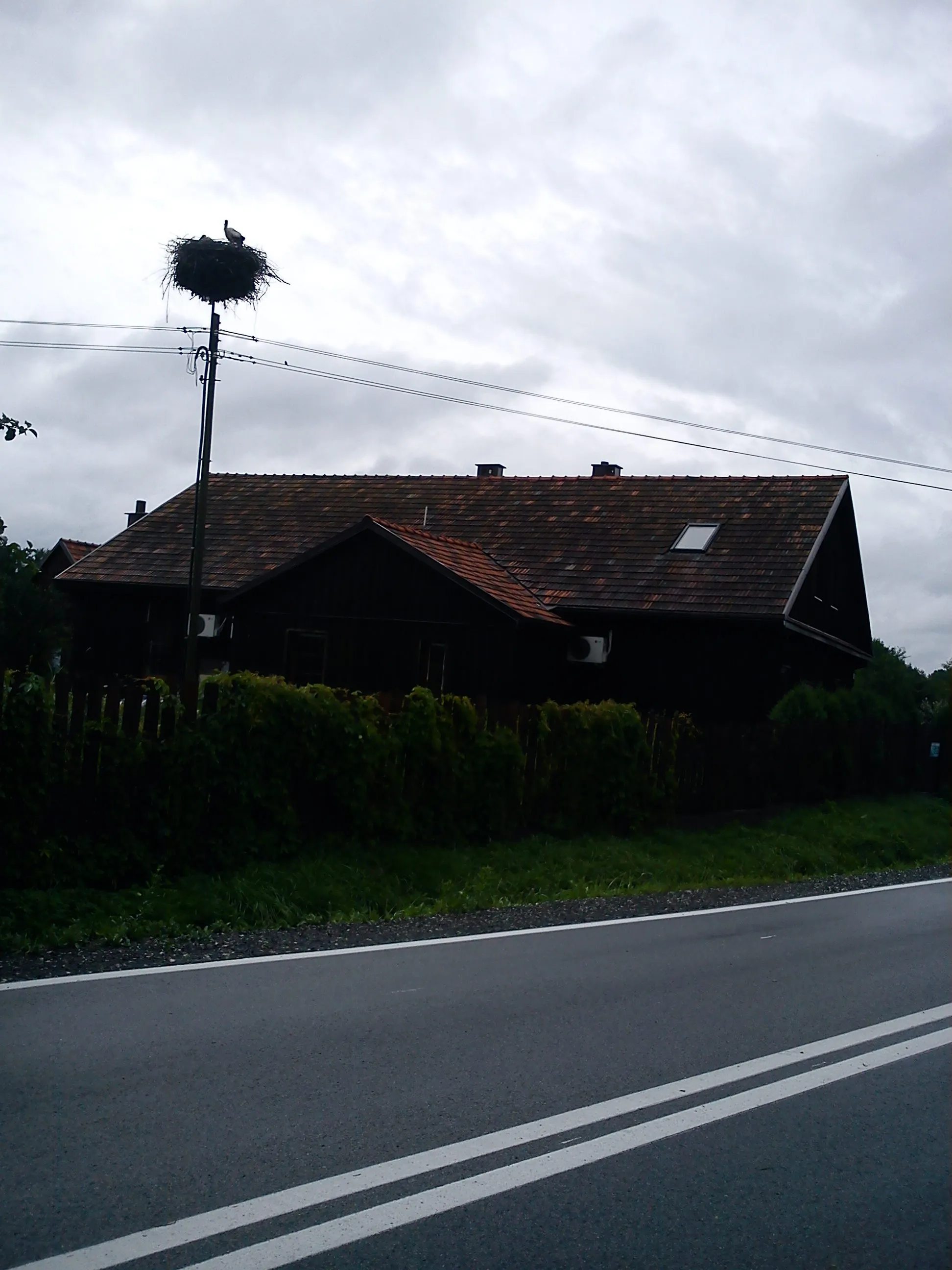 Photo showing: gniazdo bocian biały Ispina, Polska