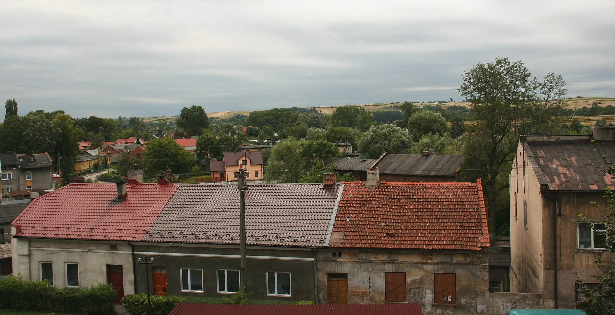 Photo showing: Działoszyce - panorama