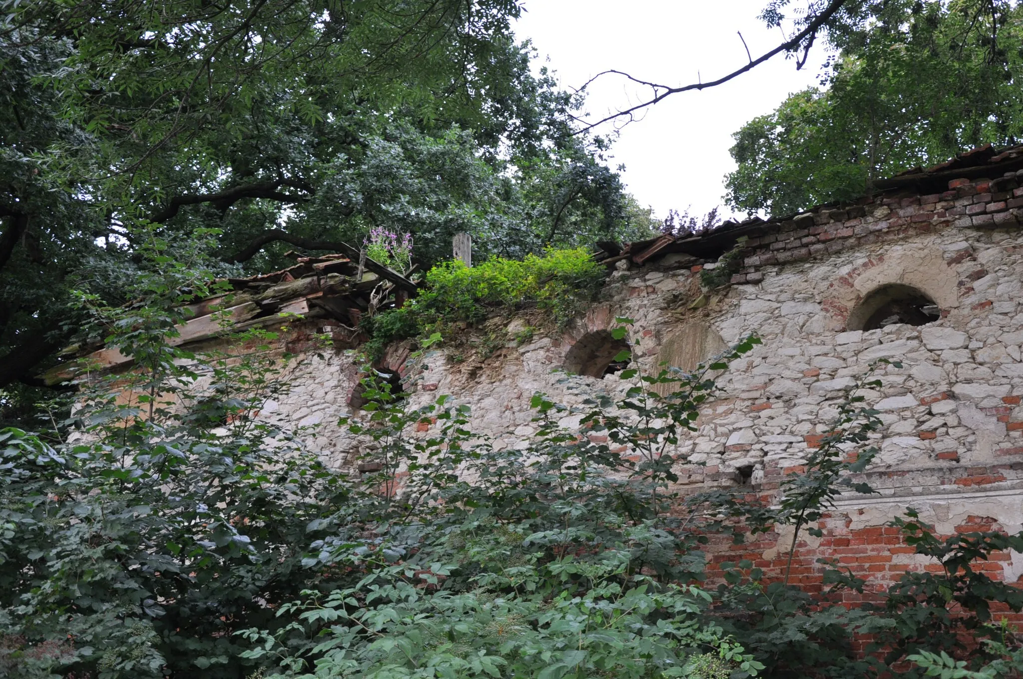 Photo showing: Ruina zboru. Cieszkowy. (zabytek nr rejestr. A175/1-2)
