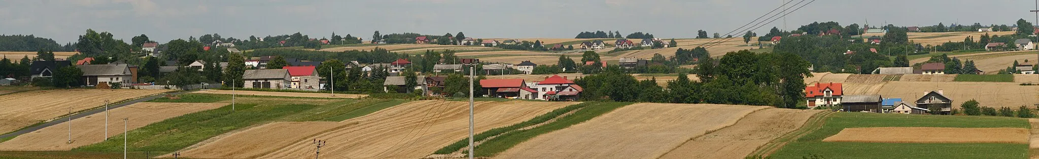 Photo showing: Panorama miejscowości Wielmoża