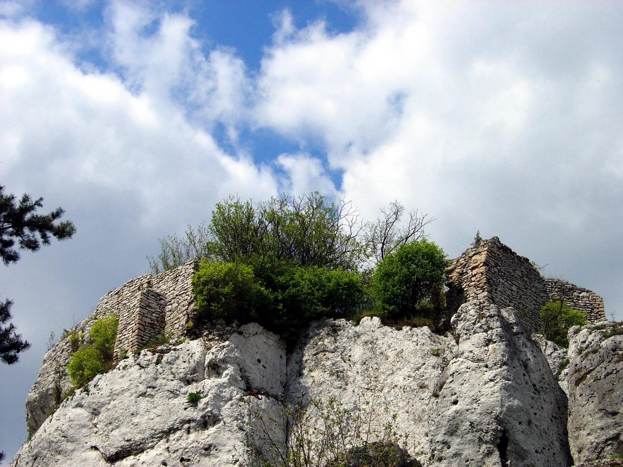 Photo showing: The ruins of the castle in Ryczów (Silesian Voivodeship, Poland)