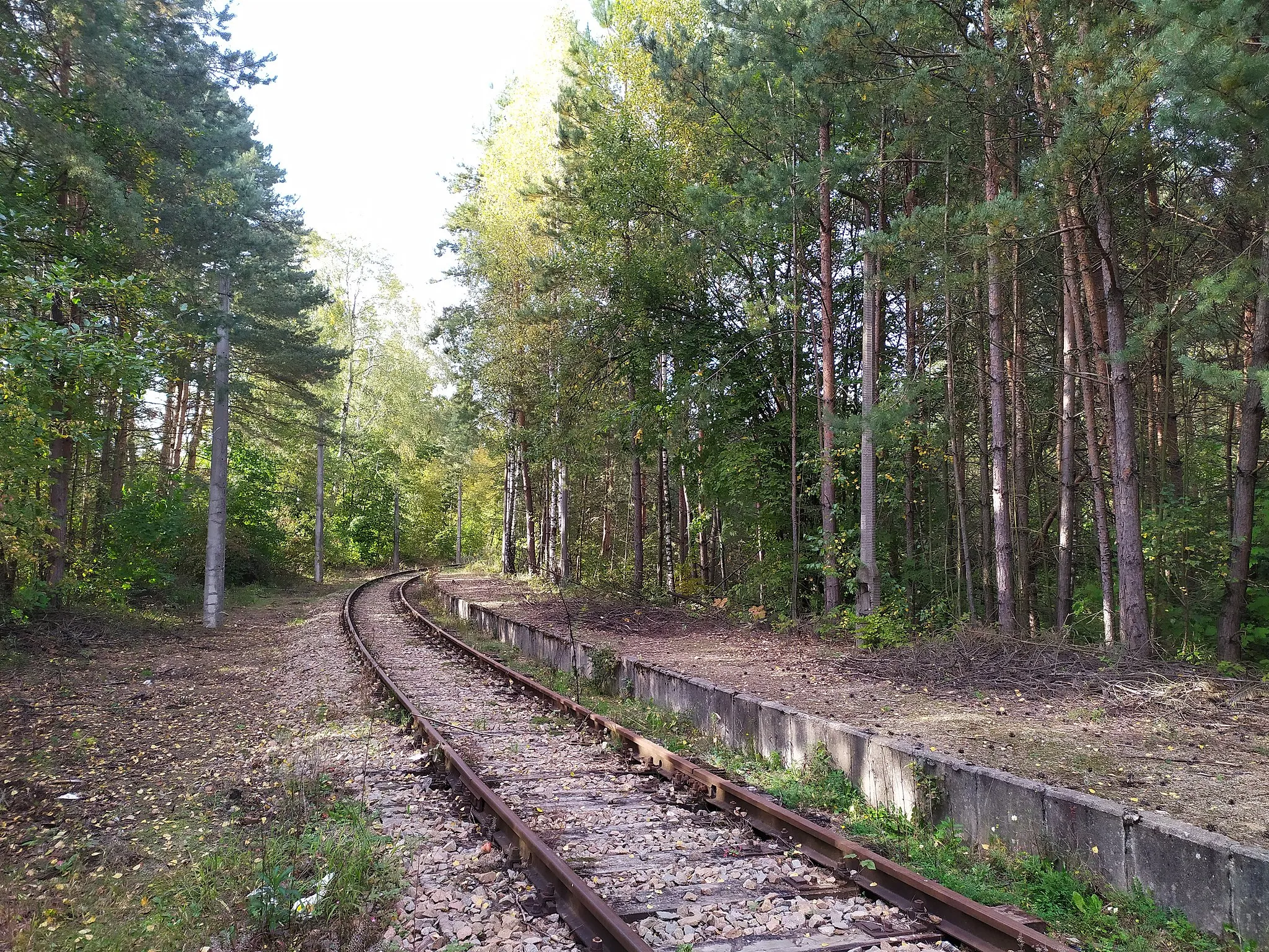 Photo showing: Przystanek kolejowy Pogorzyce w 2019 roku (widok w kierunku Chrzanowa)