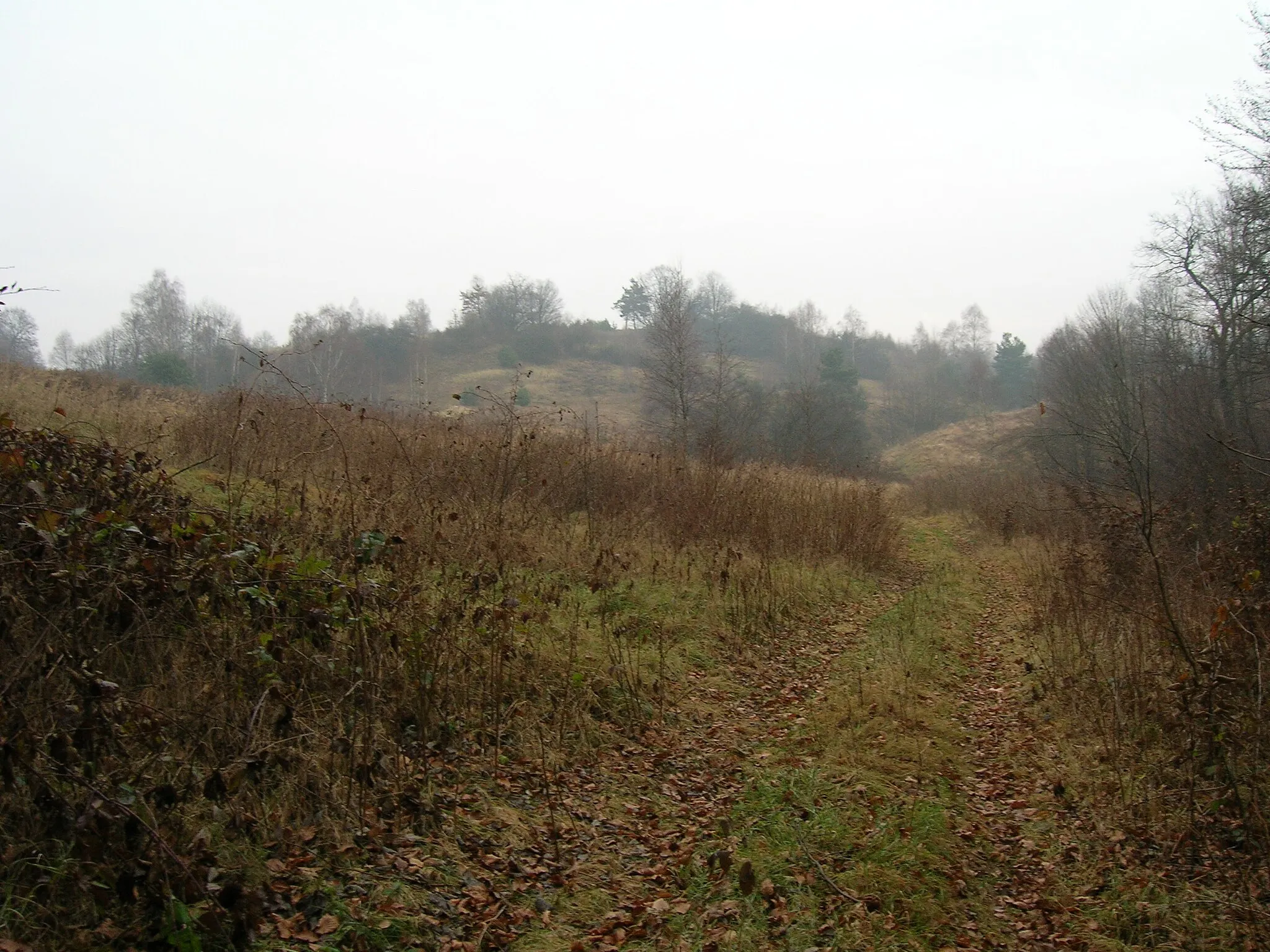 Photo showing: Paczółtowice,Porąbka