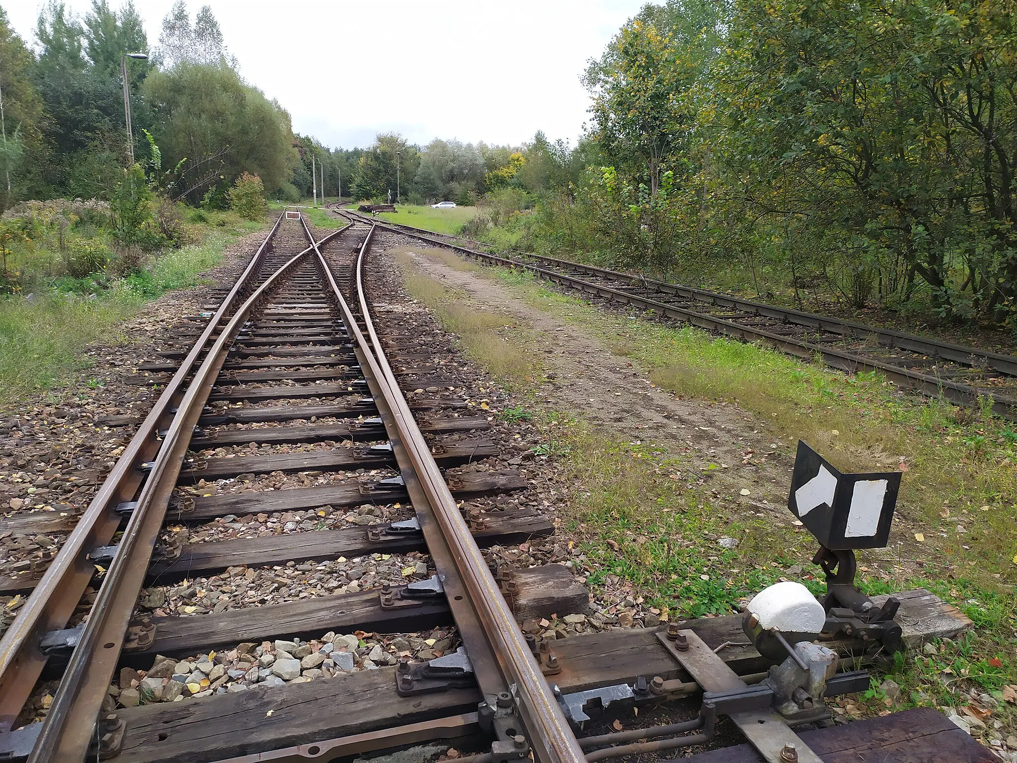 Photo showing: Stacja kolejowa Okleśna w 2019 roku (widok w kierunku Trzebini)