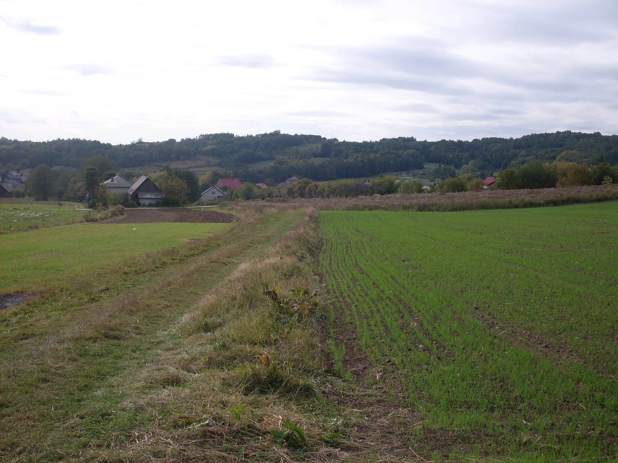 Photo showing: Filipowice.Widok na Gierasową Górę od str. wschodniej