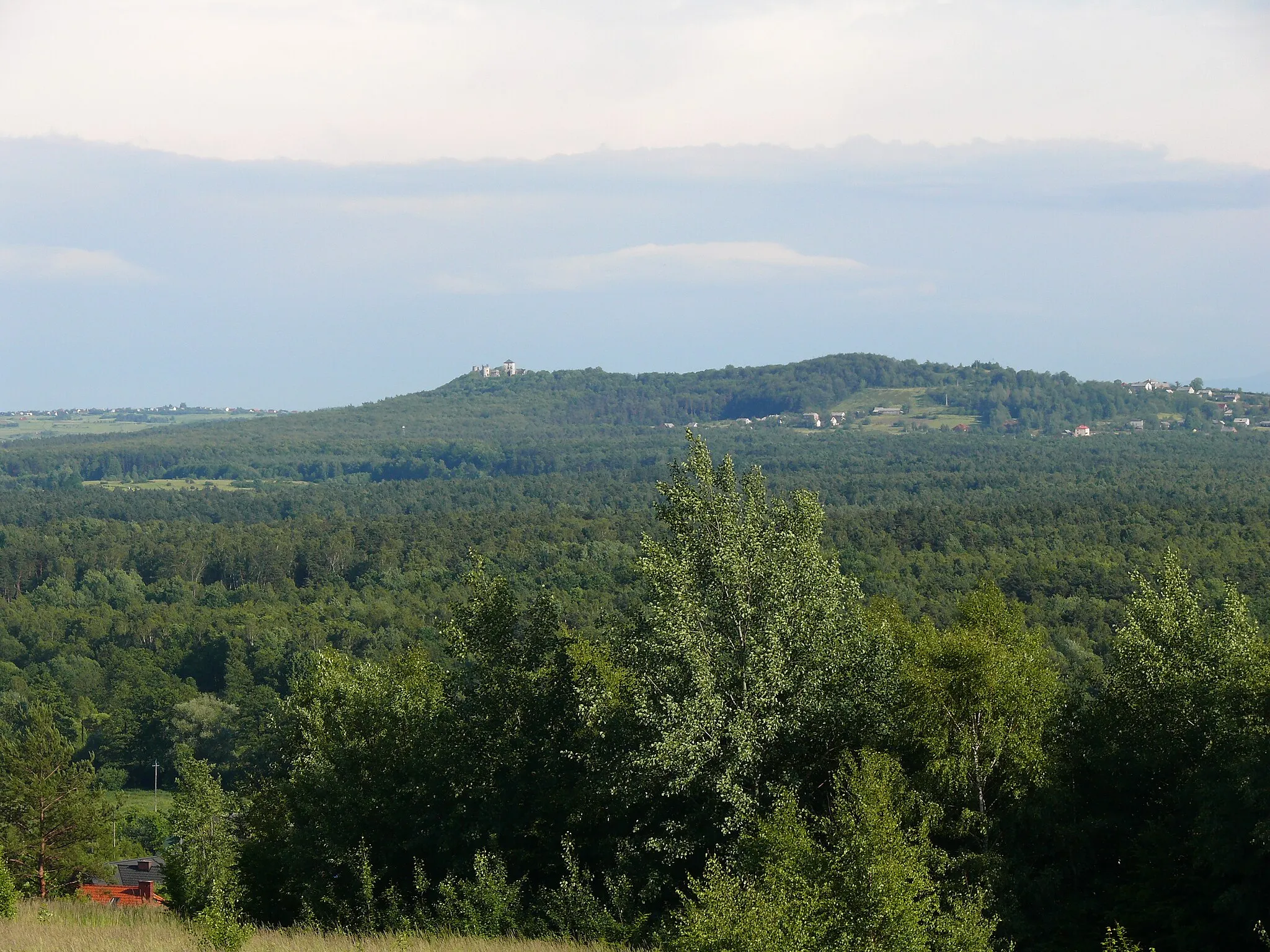 Photo showing: Widok na Puszczę Dulowską i Zamek Tenczyn