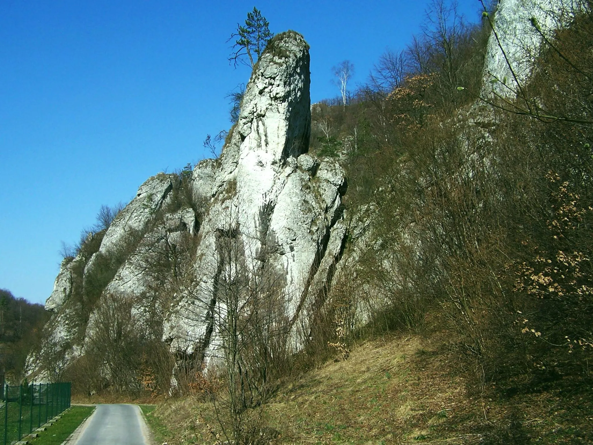 Photo showing: Rezerwat przyrody Zimny Dół