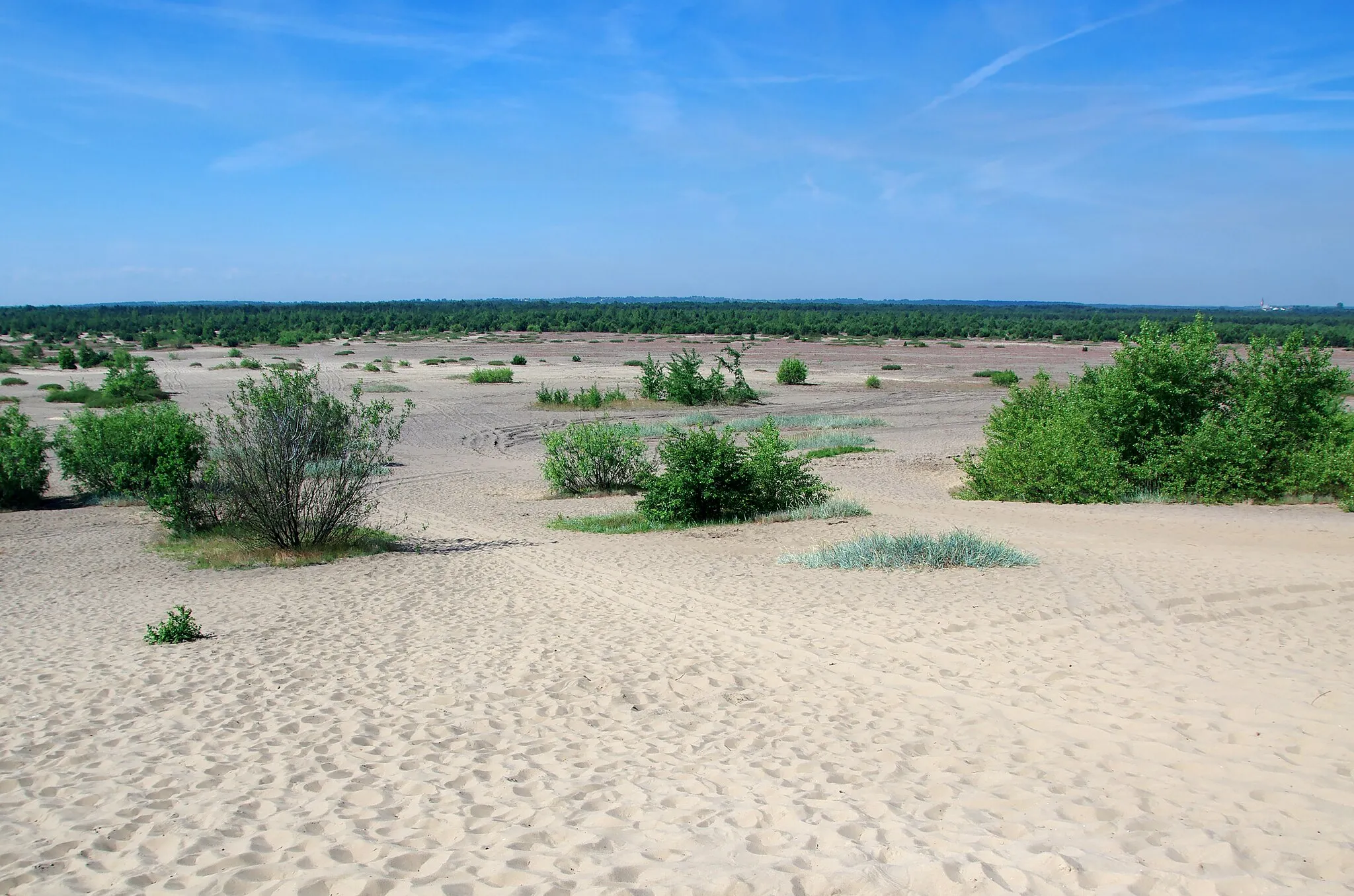 Photo showing: Błędów Desert in Chechło