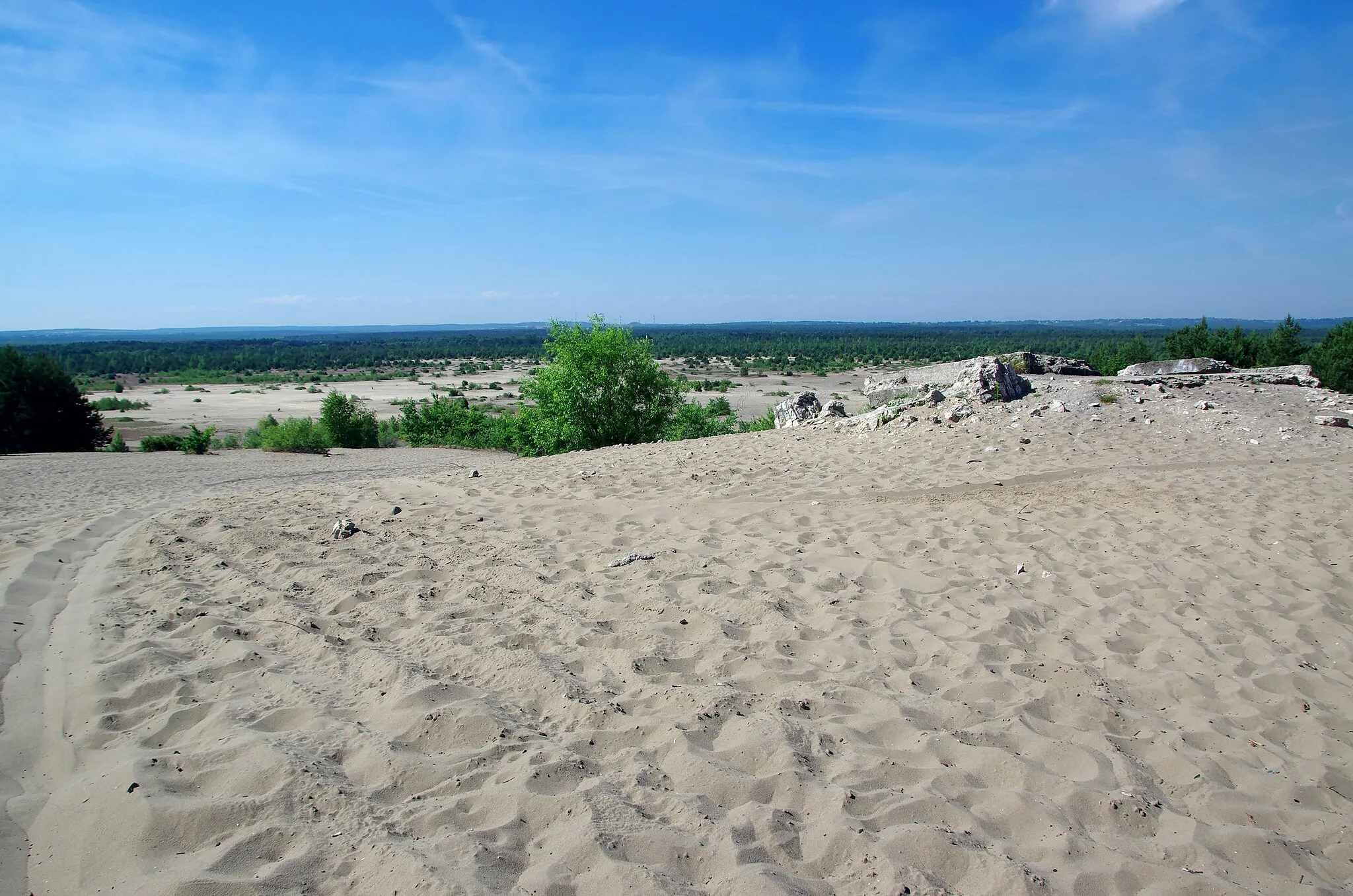 Photo showing: Błędów Desert in Chechło