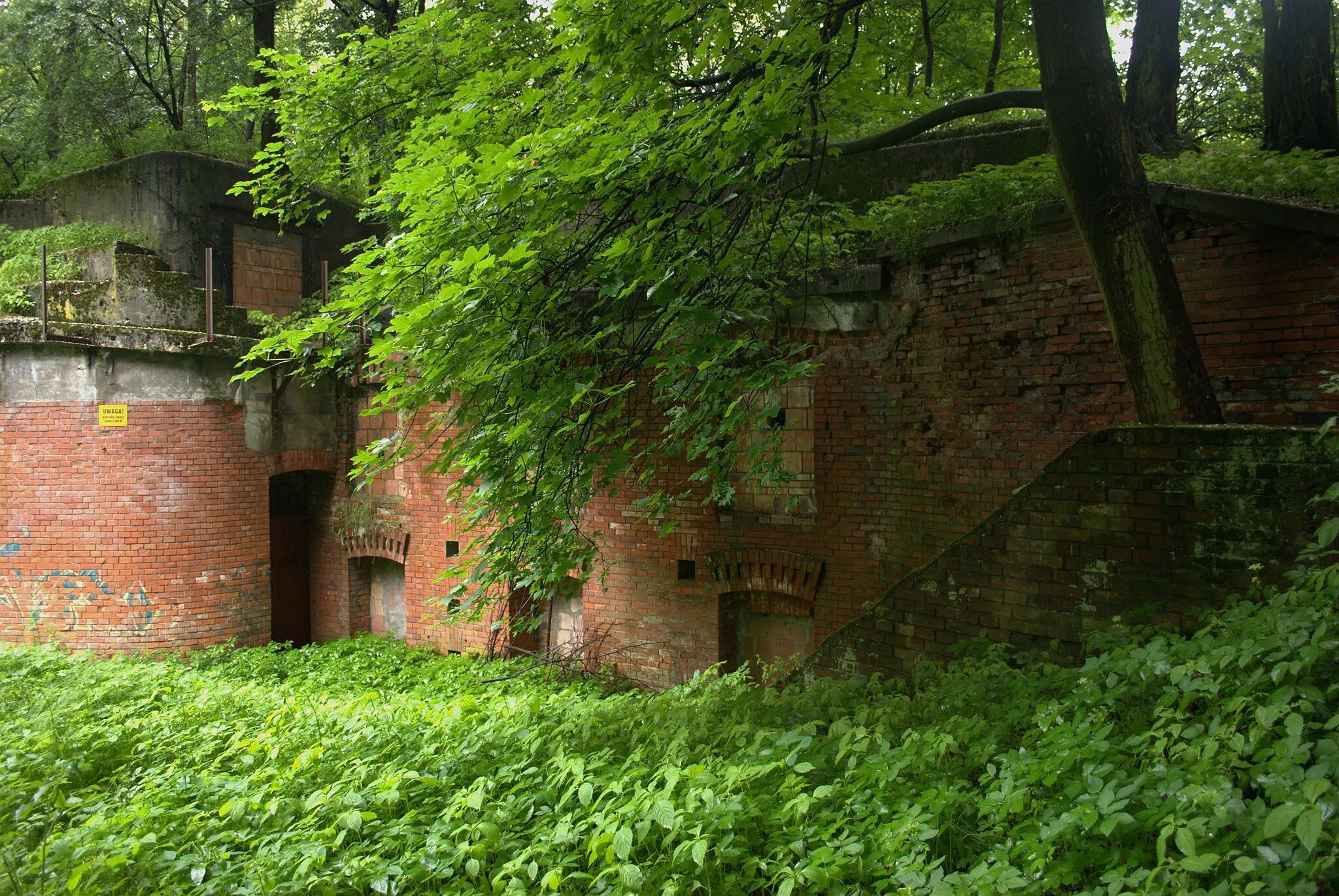 Photo showing: Fort pancerny Bibice nr 45a (widok #1)