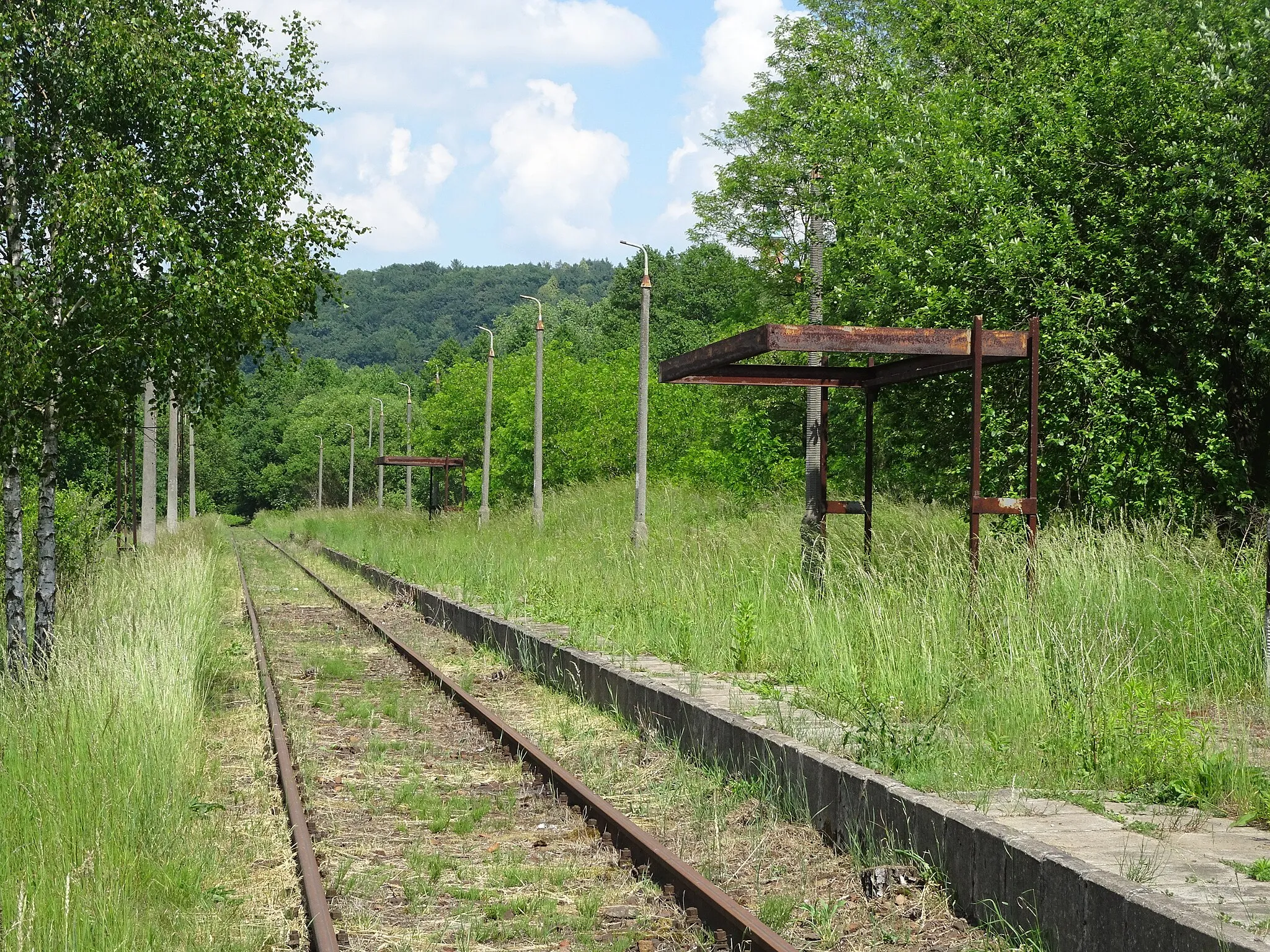 Photo showing: Nieczynny przystanek kolejowy Alwernia (2018)
